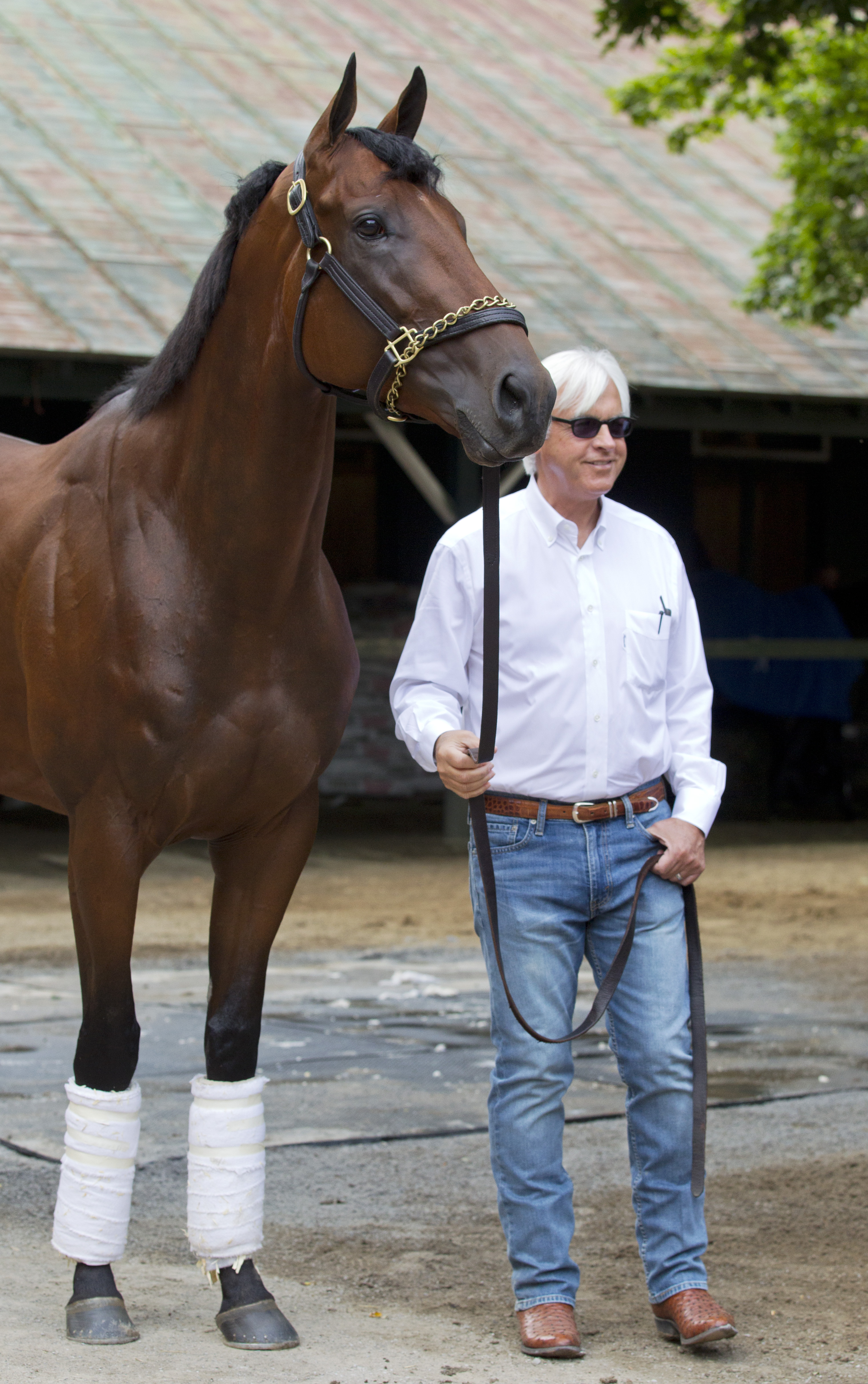 American Pharoah and Bob Baffert Aug 30 Saratoga