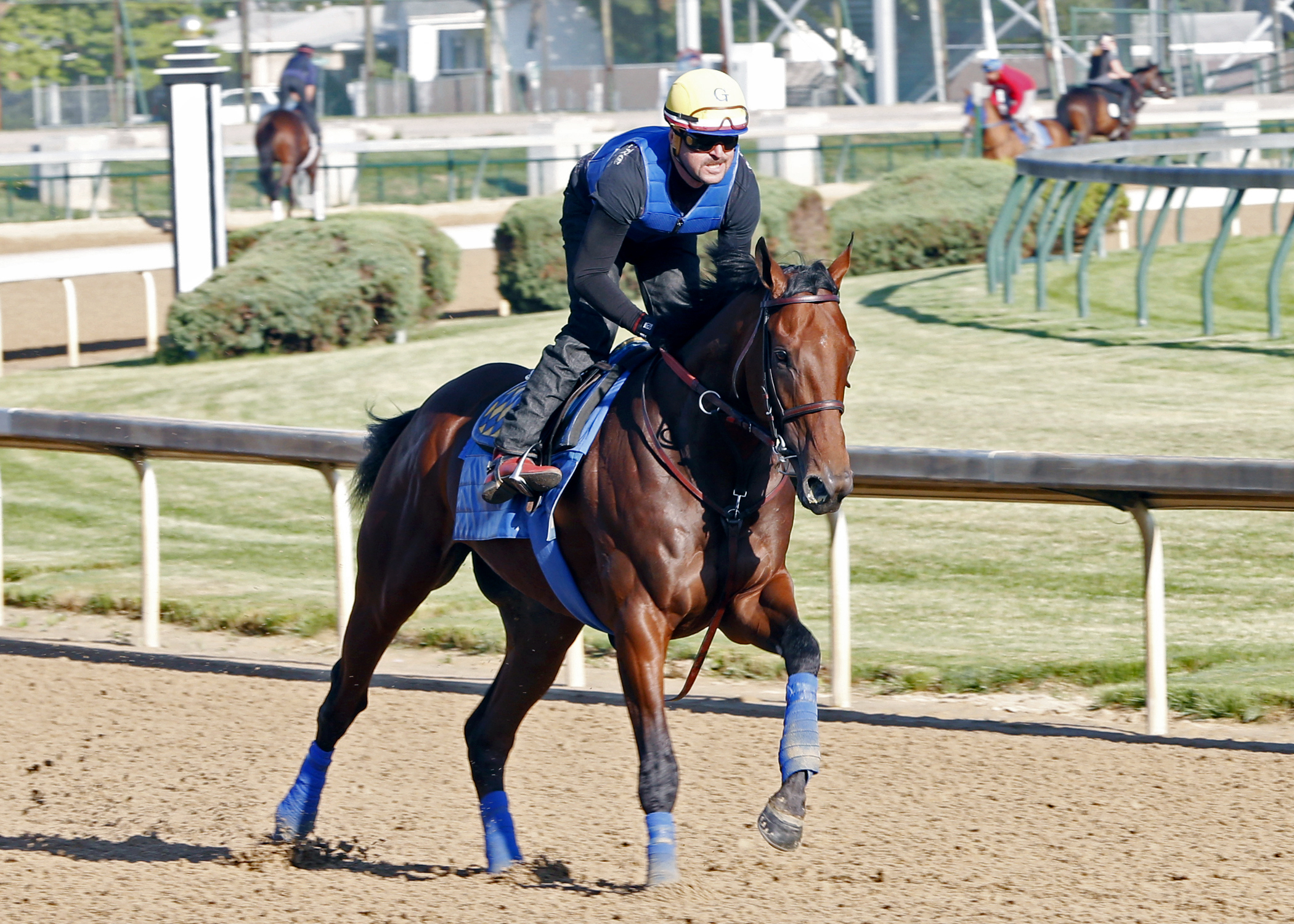 American Pharoah at Churchill on May 22