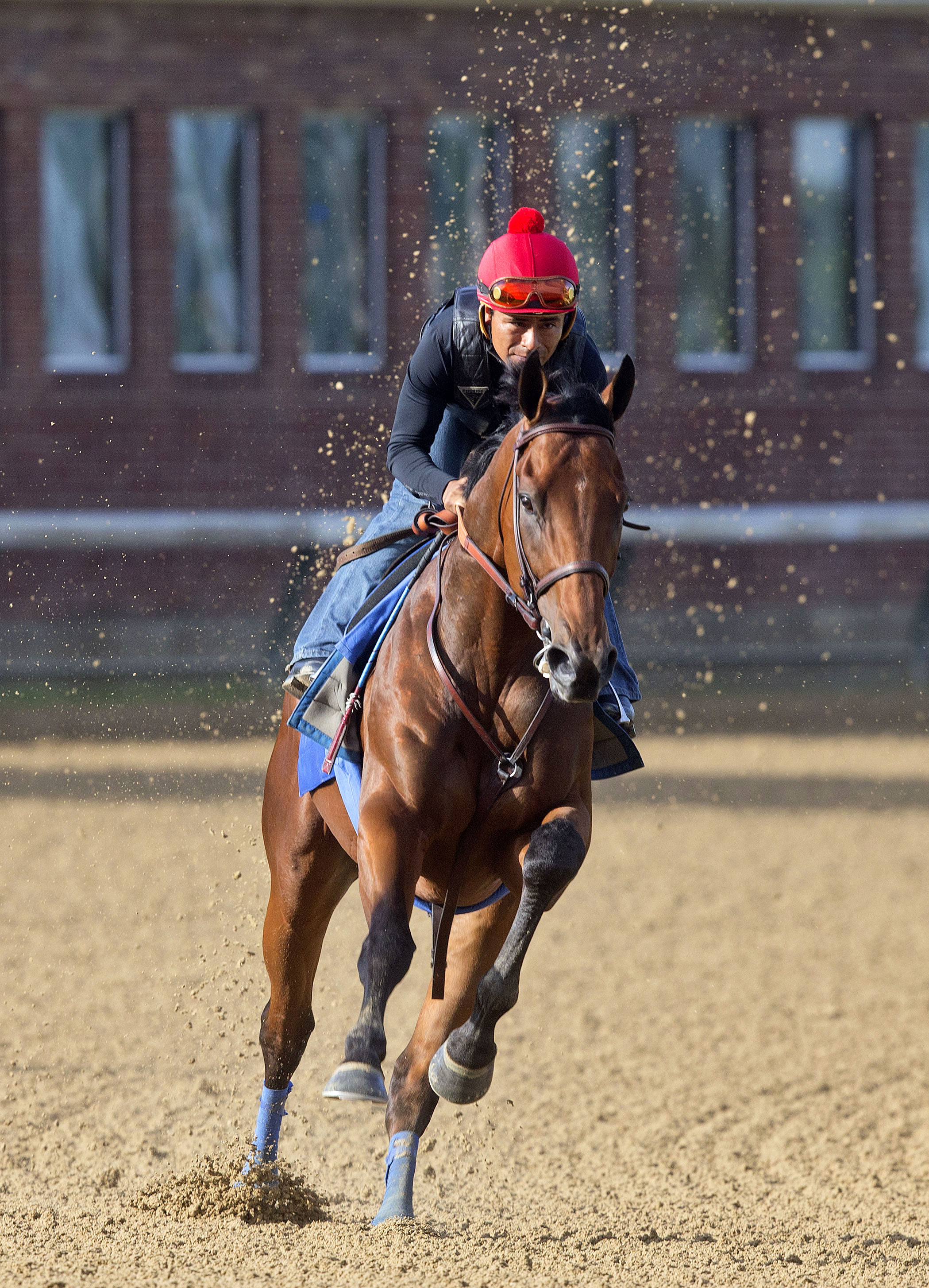 American Pharoah breezes on May 26