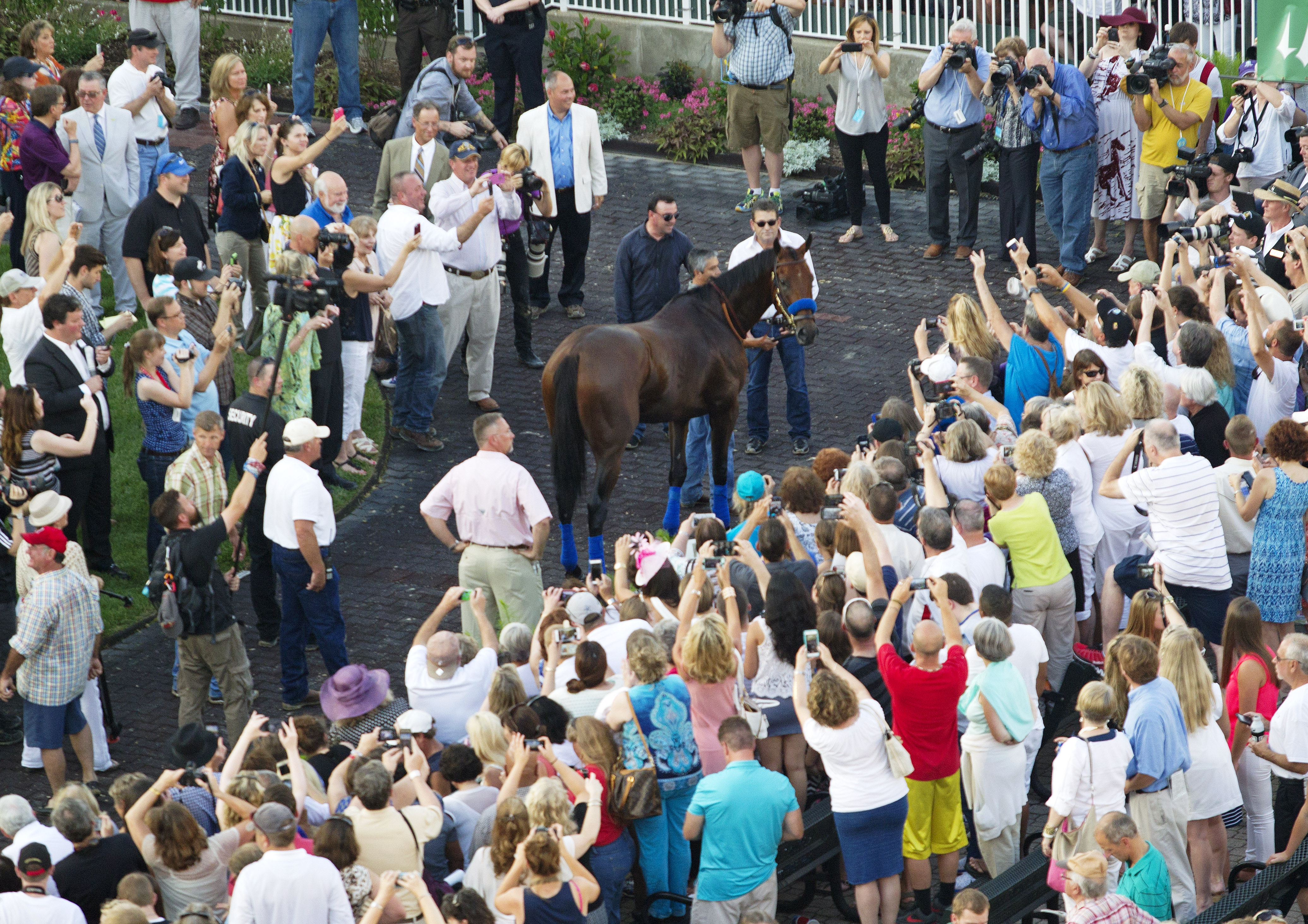 American Pharoah 6-13-2015