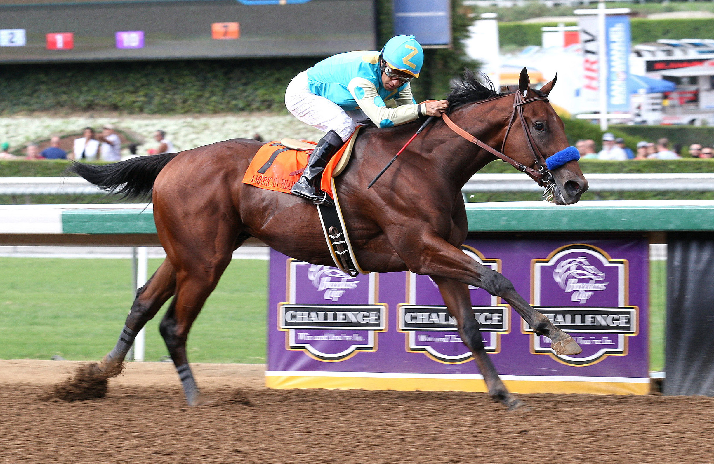 American Pharoah wins the FrontRunner