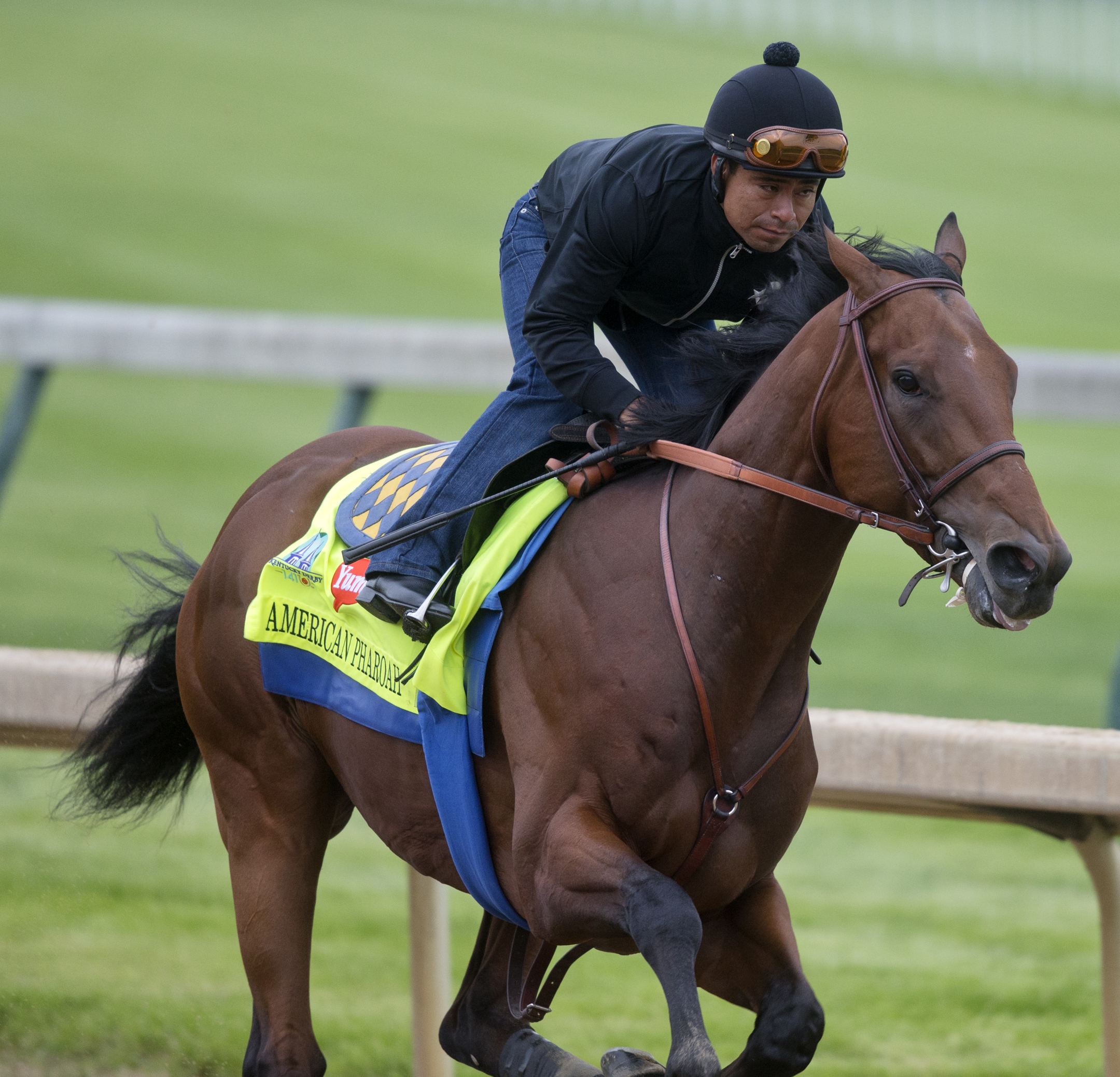 American Pharoah 4-26-2015