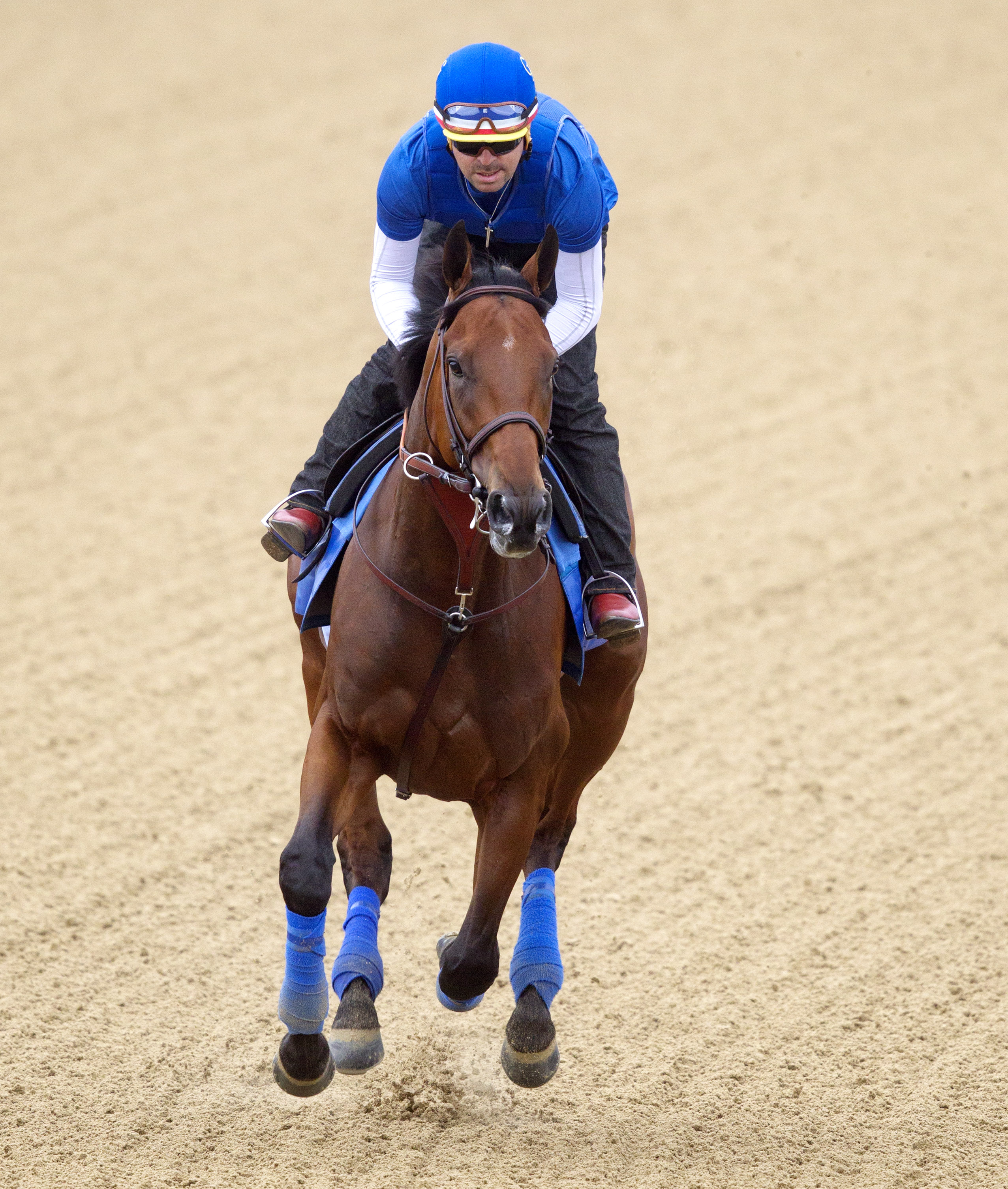American Pharoah 5-31-15