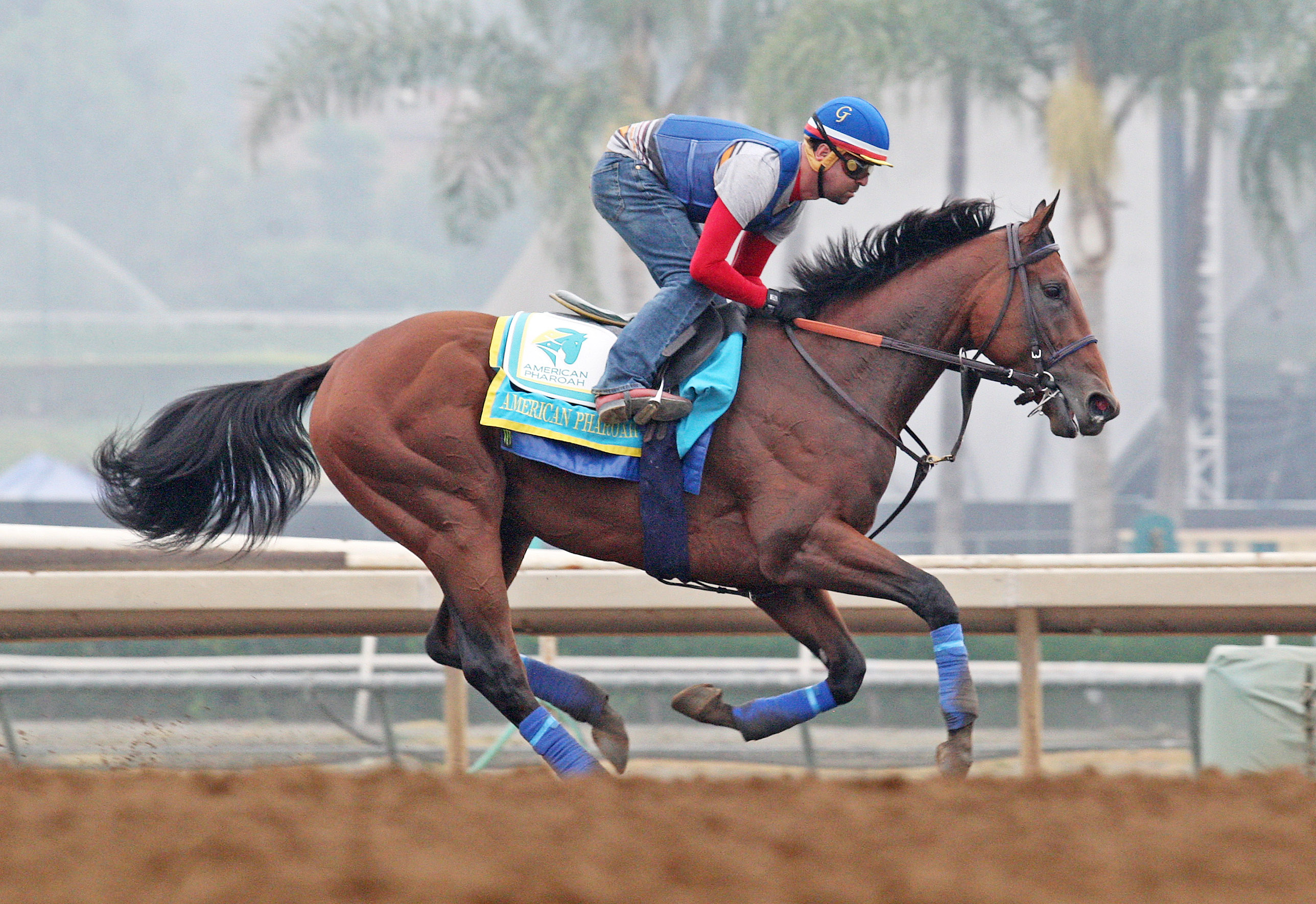 American Pharoah trains on July 5