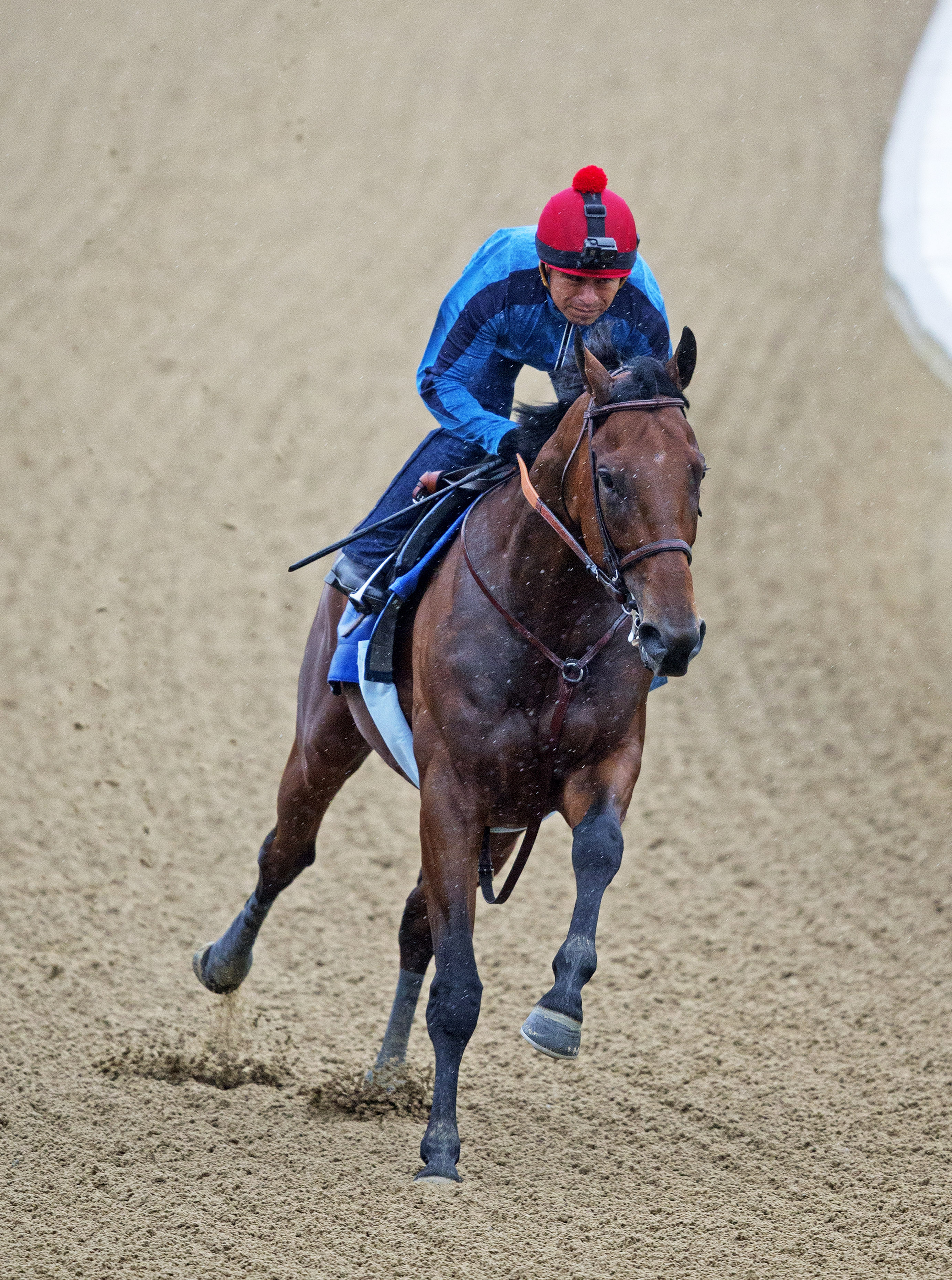 American Pharoah