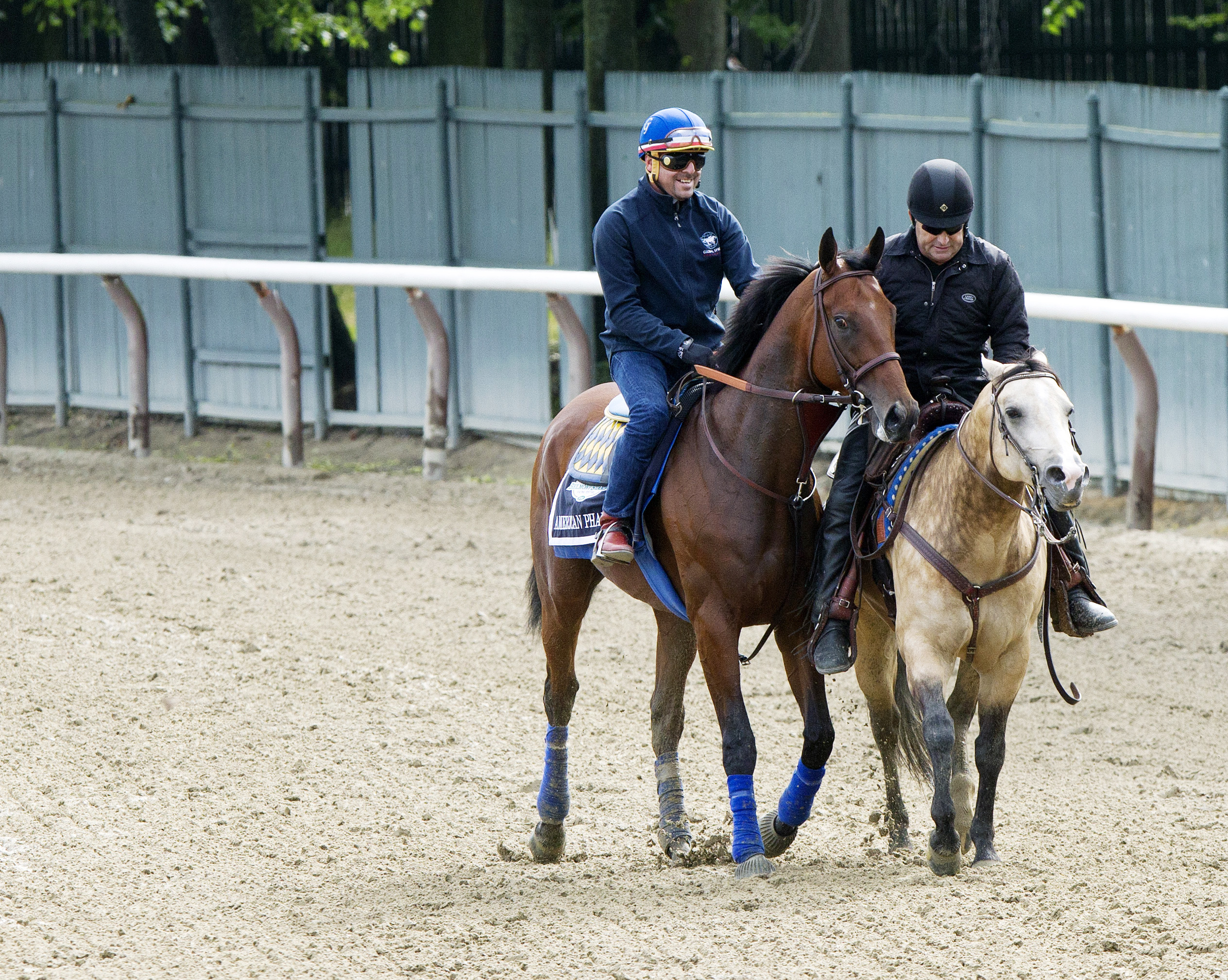 American Pharoah at Belmont Park on June 3