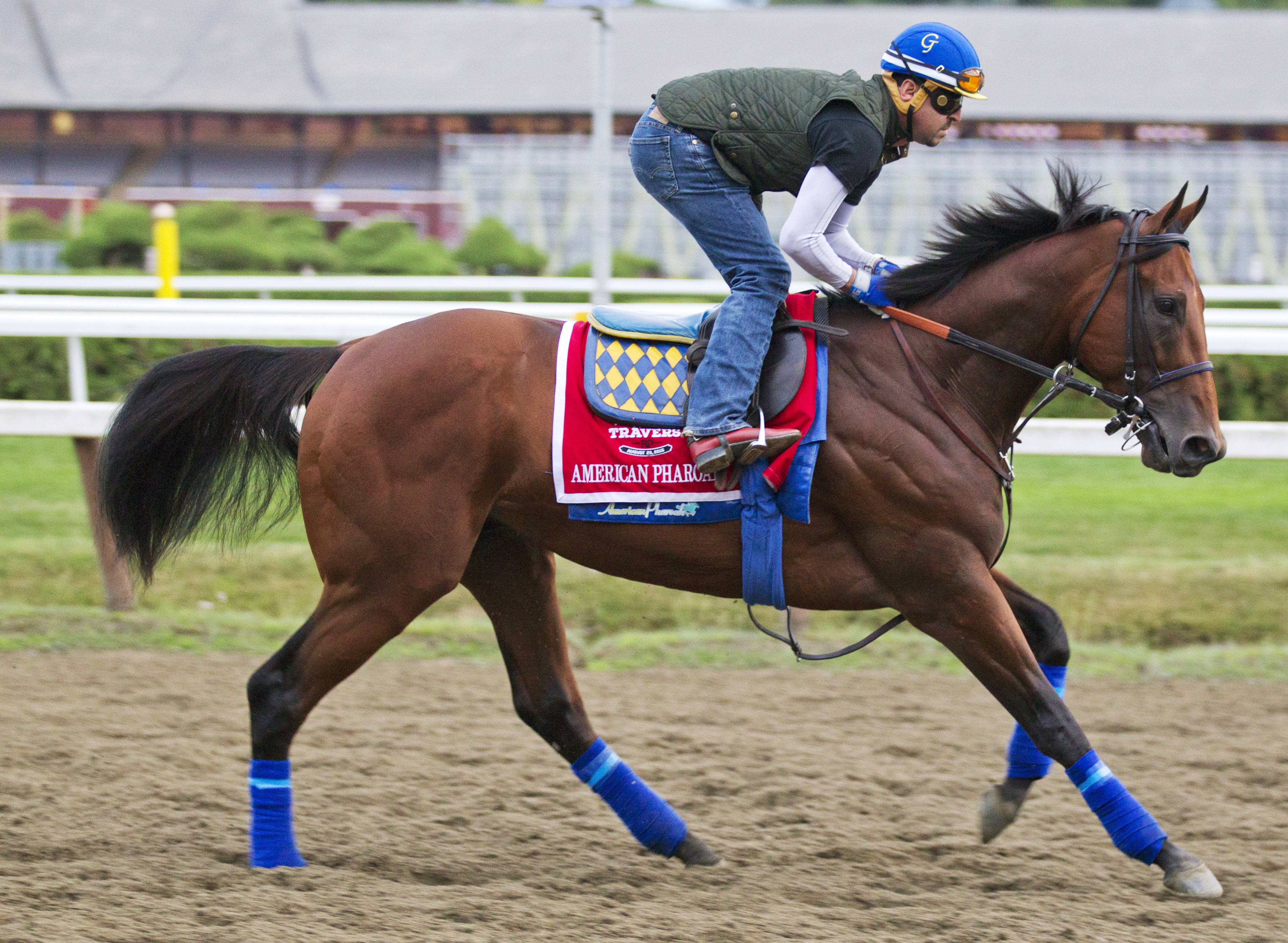 American Pharoah trains on Aug. 27