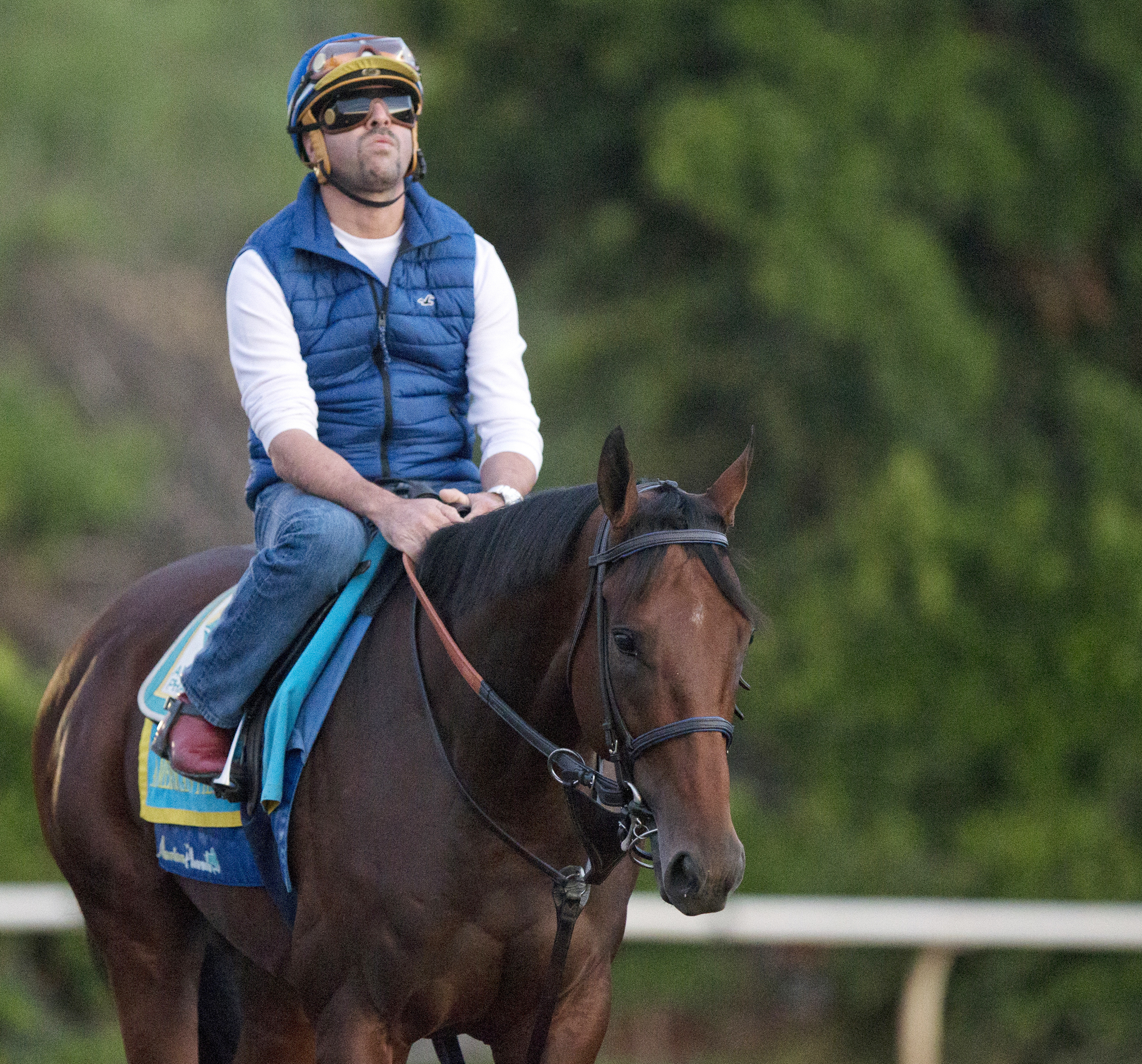 American Pharoah at Santa Anita on Oct. 6