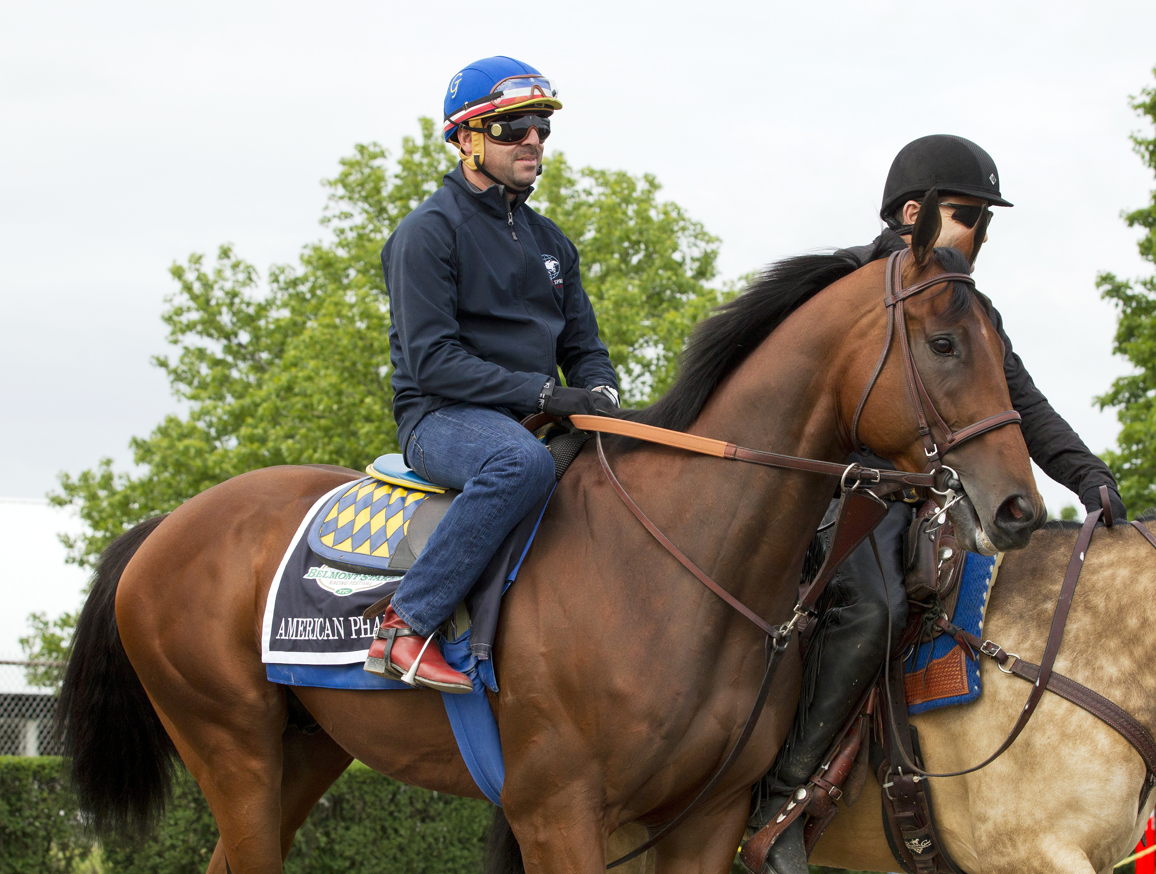 American Pharoah at Belmont on June 3
