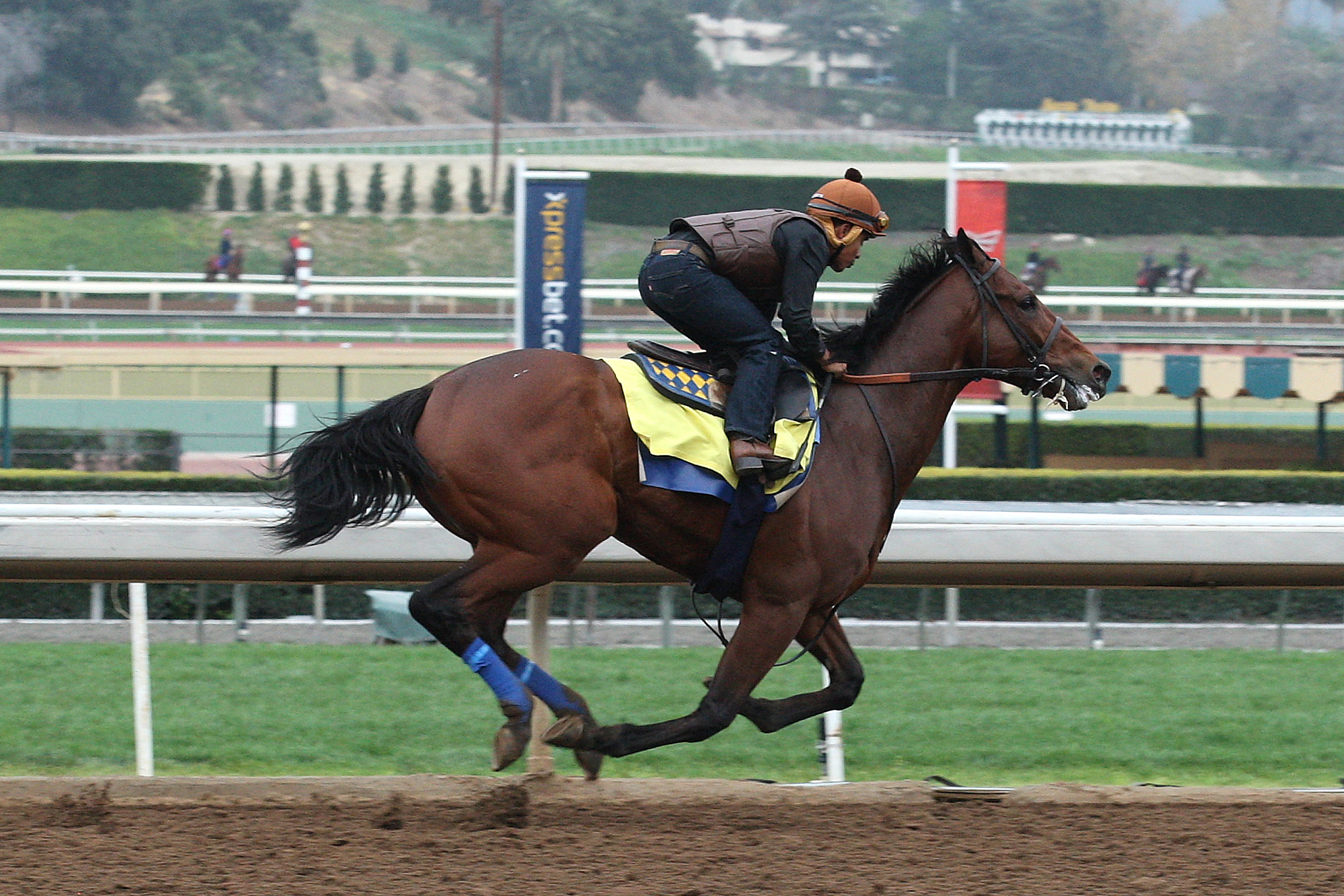 American Pharoah marquee2