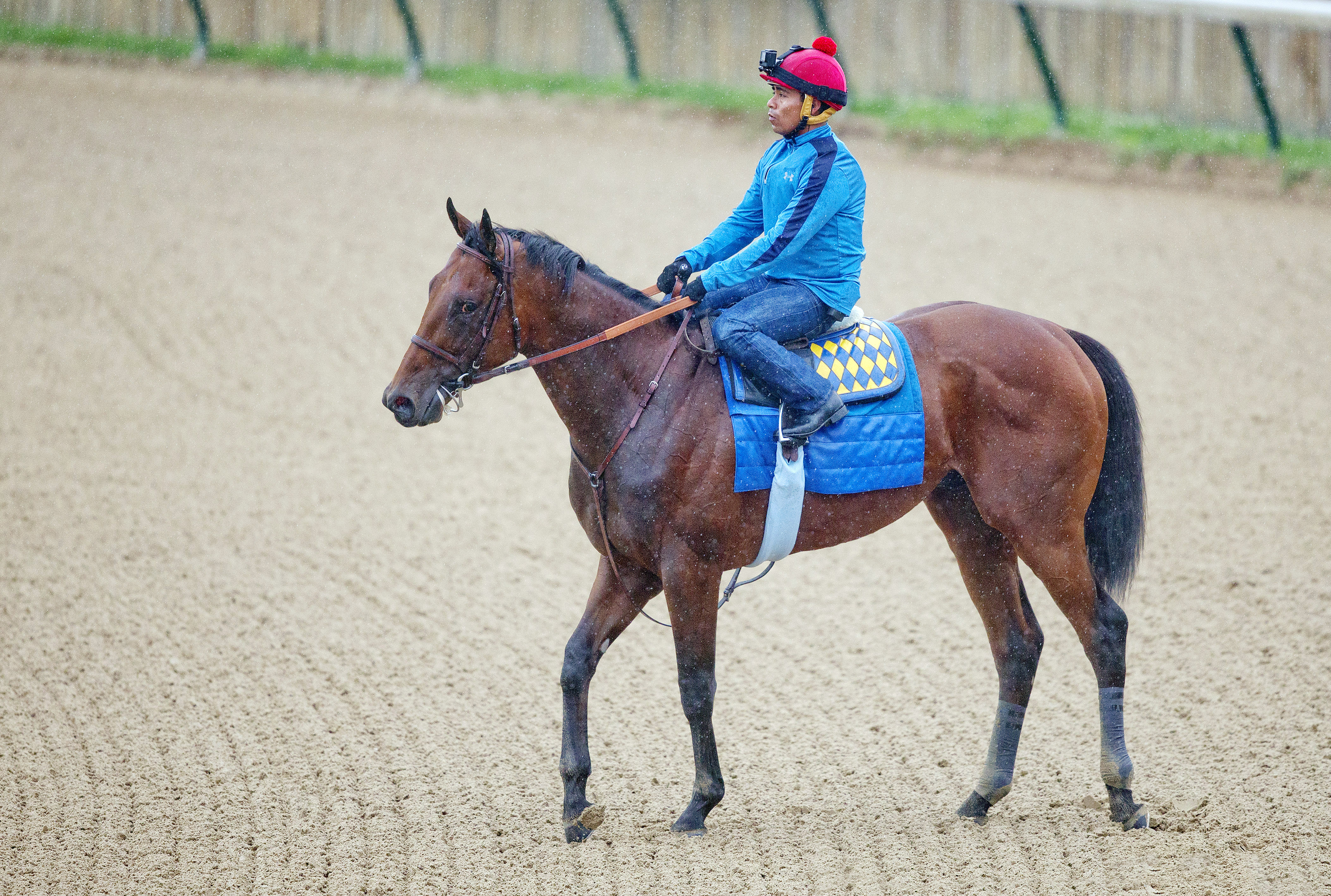 American Pharoah and Martin Garcia at Churchill June 1
