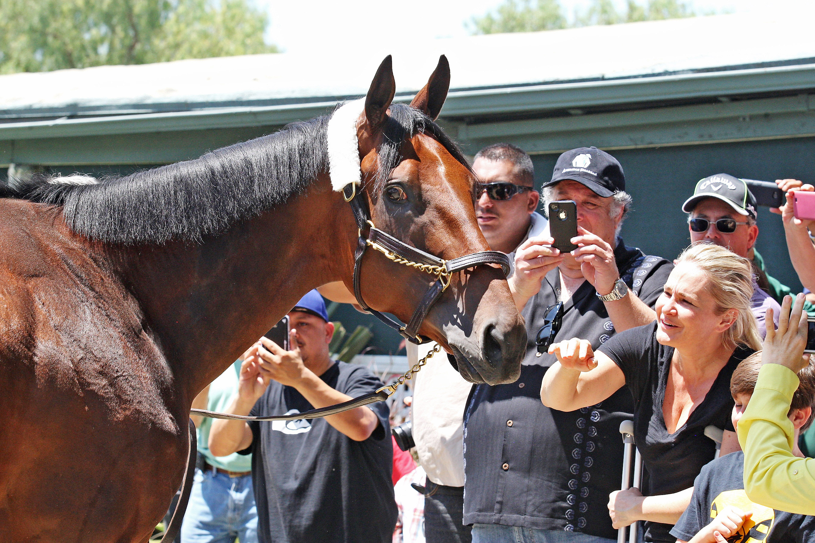 American Pharoah and fans at Santa Anita