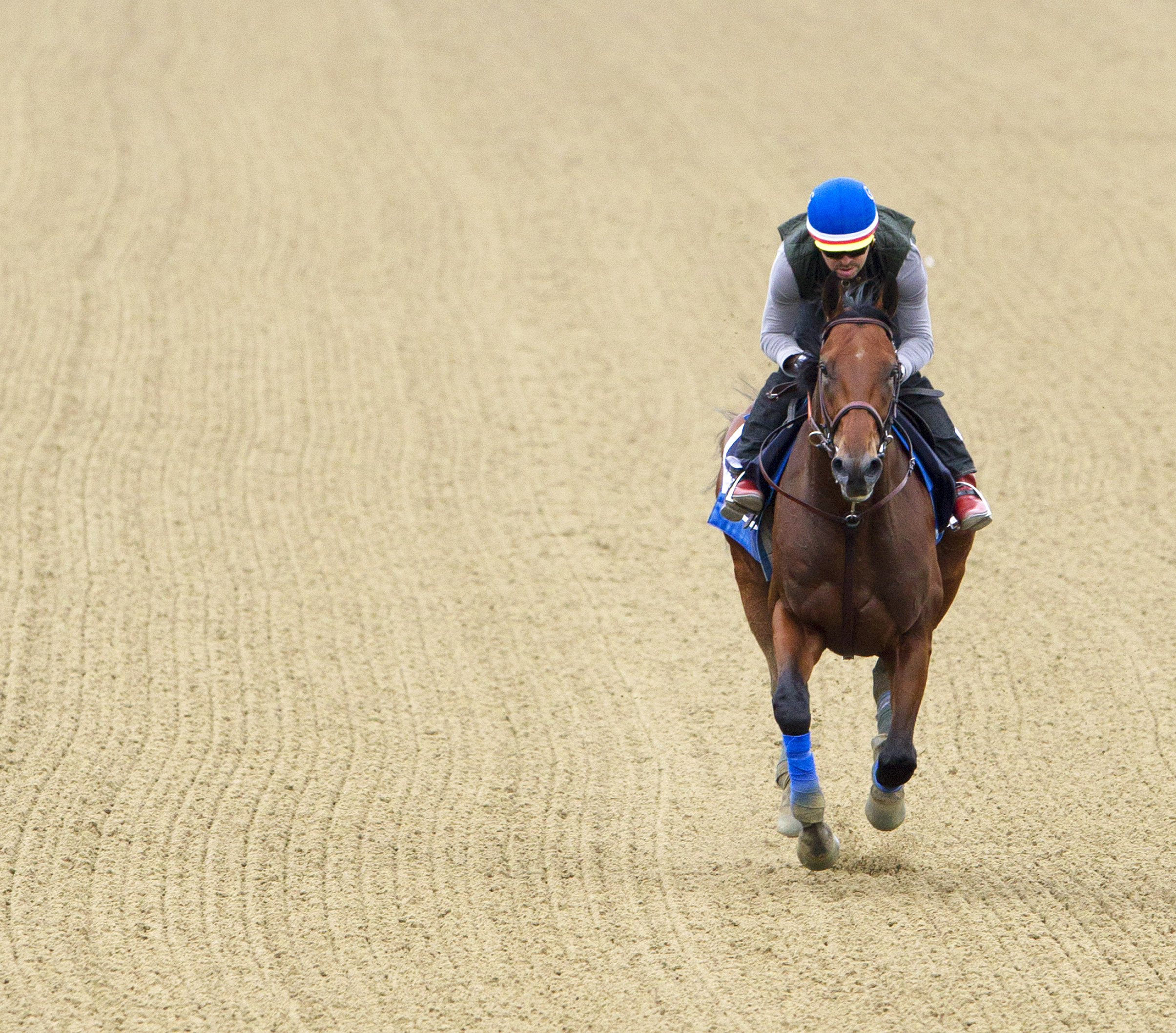 Belmont Stakes: Pedigree profiles