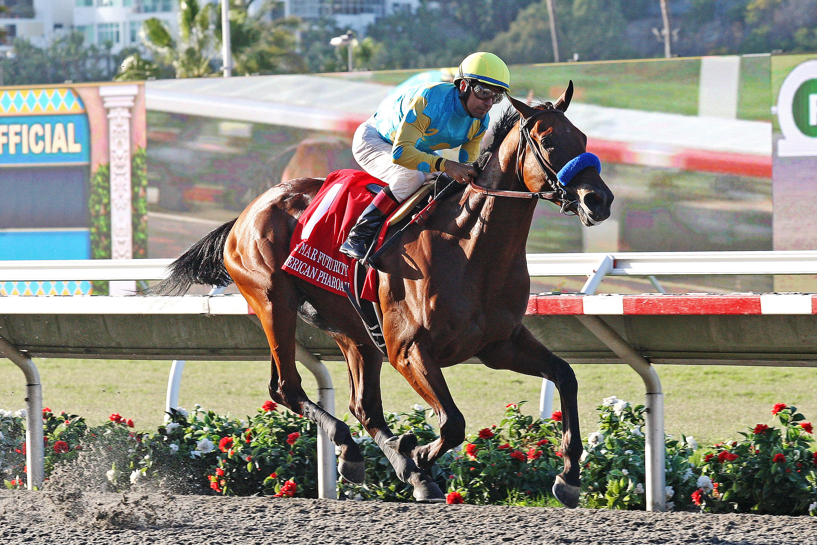 American Pharoah wins the Del Mar Futurity