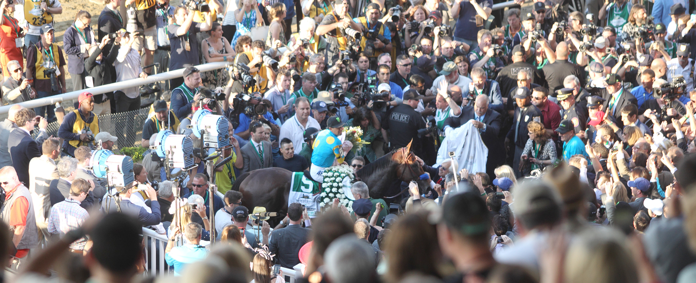 American Pharoah 6-6-15