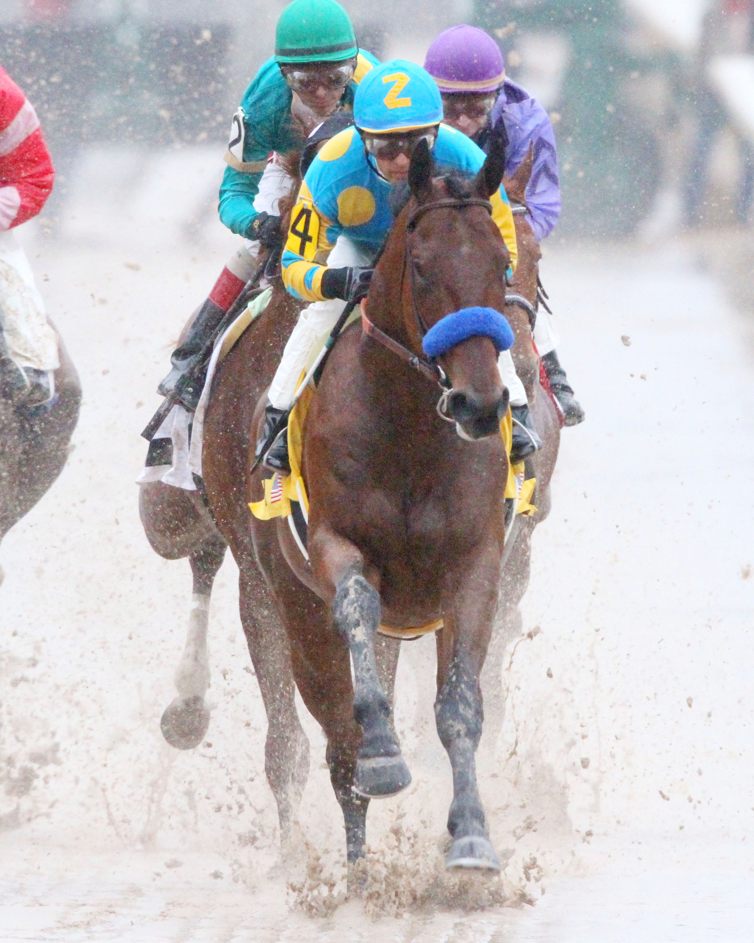 American Pharoah wins the Rebel