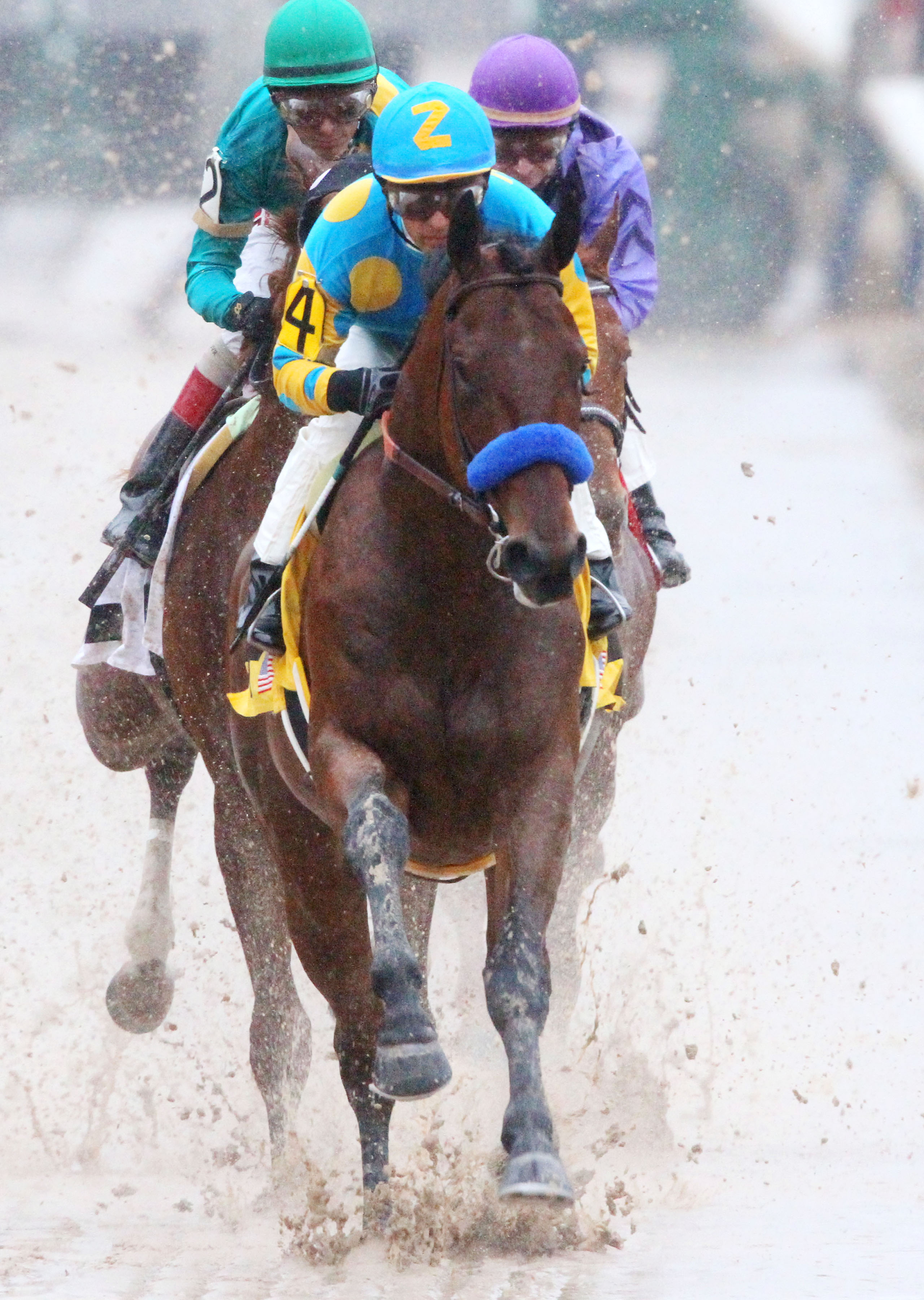American Pharoah wins the Rebel