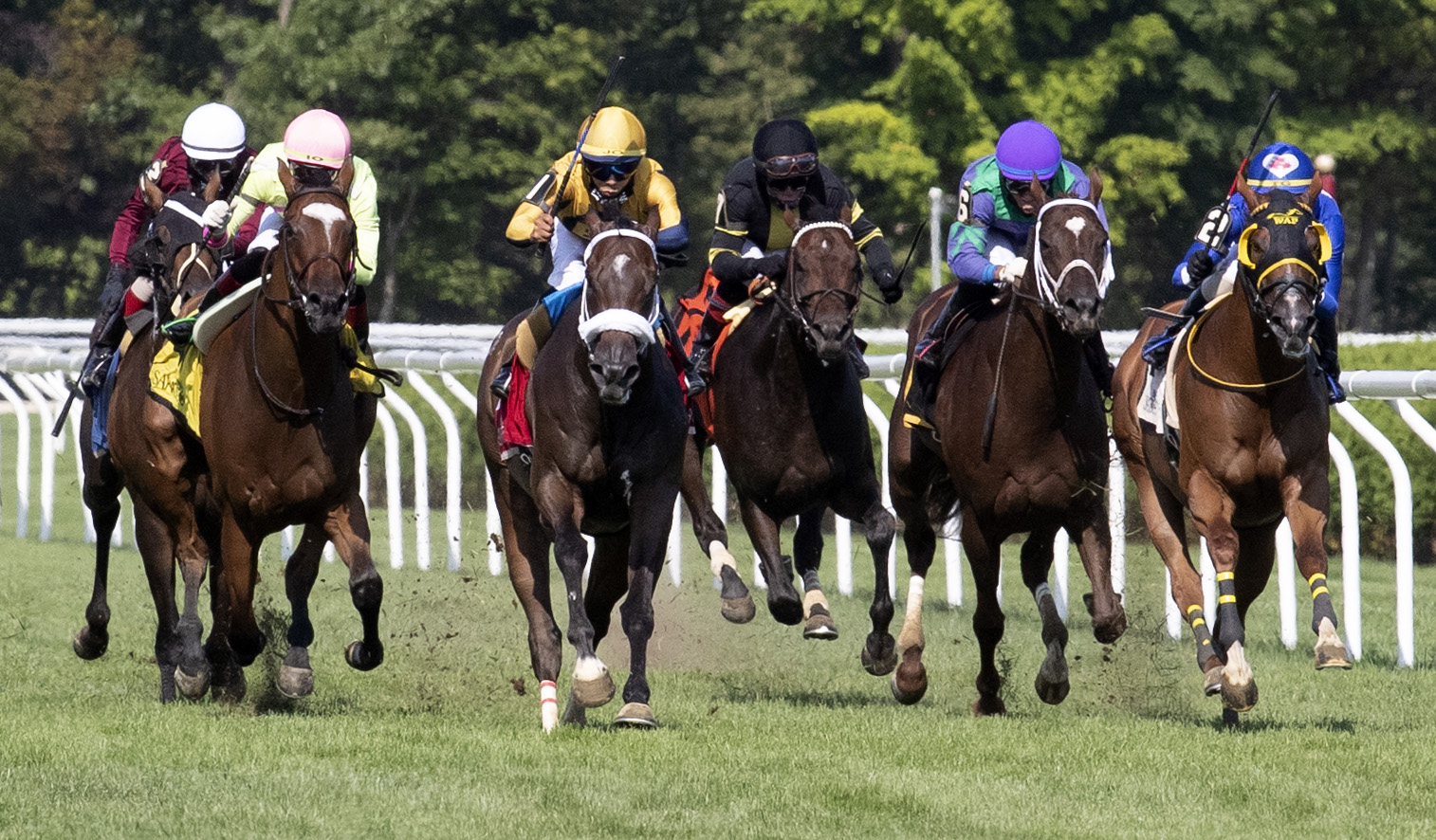 American Sailor (far right) wins the Troy by DQ at Saratoga 8-8-2020