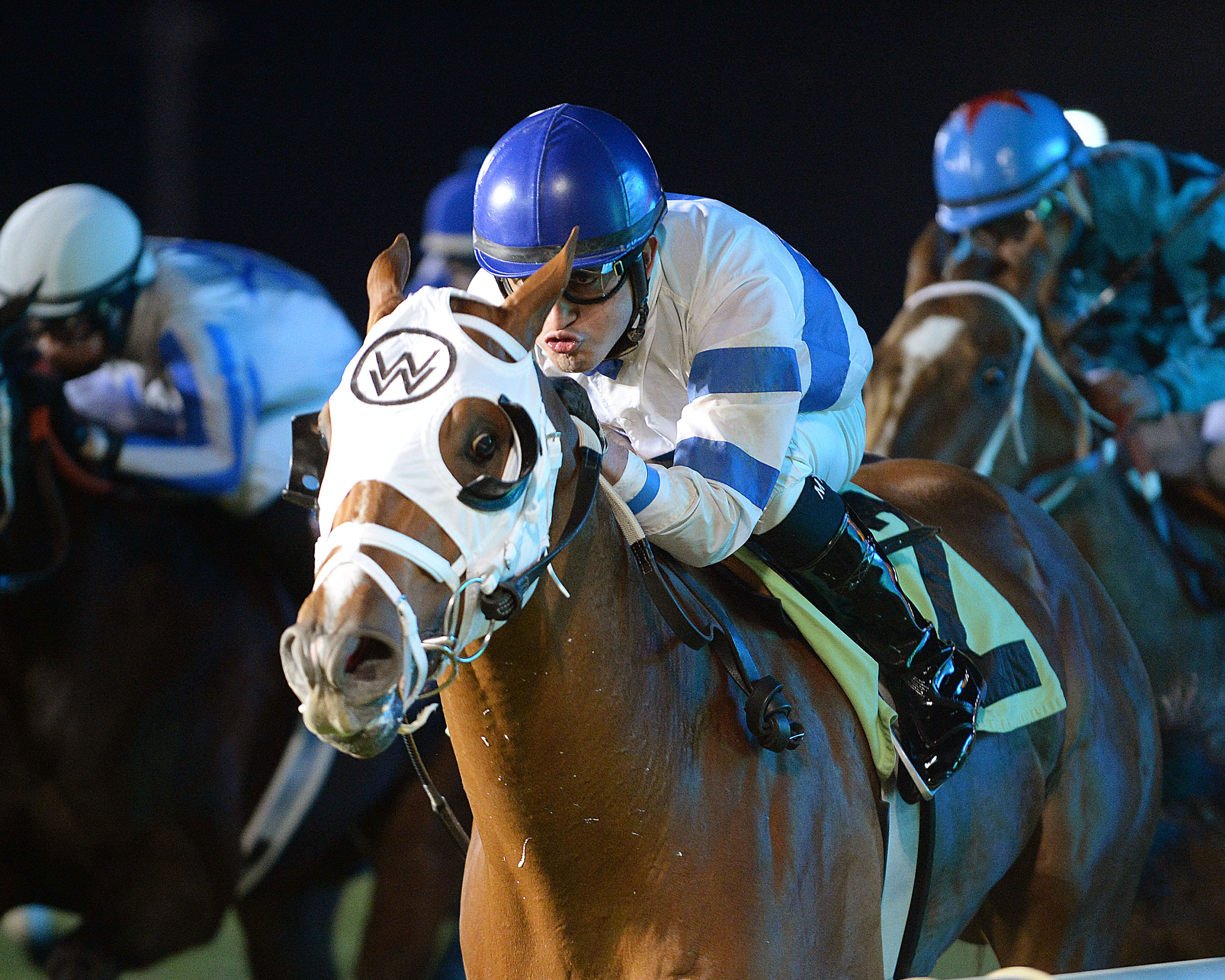 American Sailor wins the Bucharest Turf Sprint