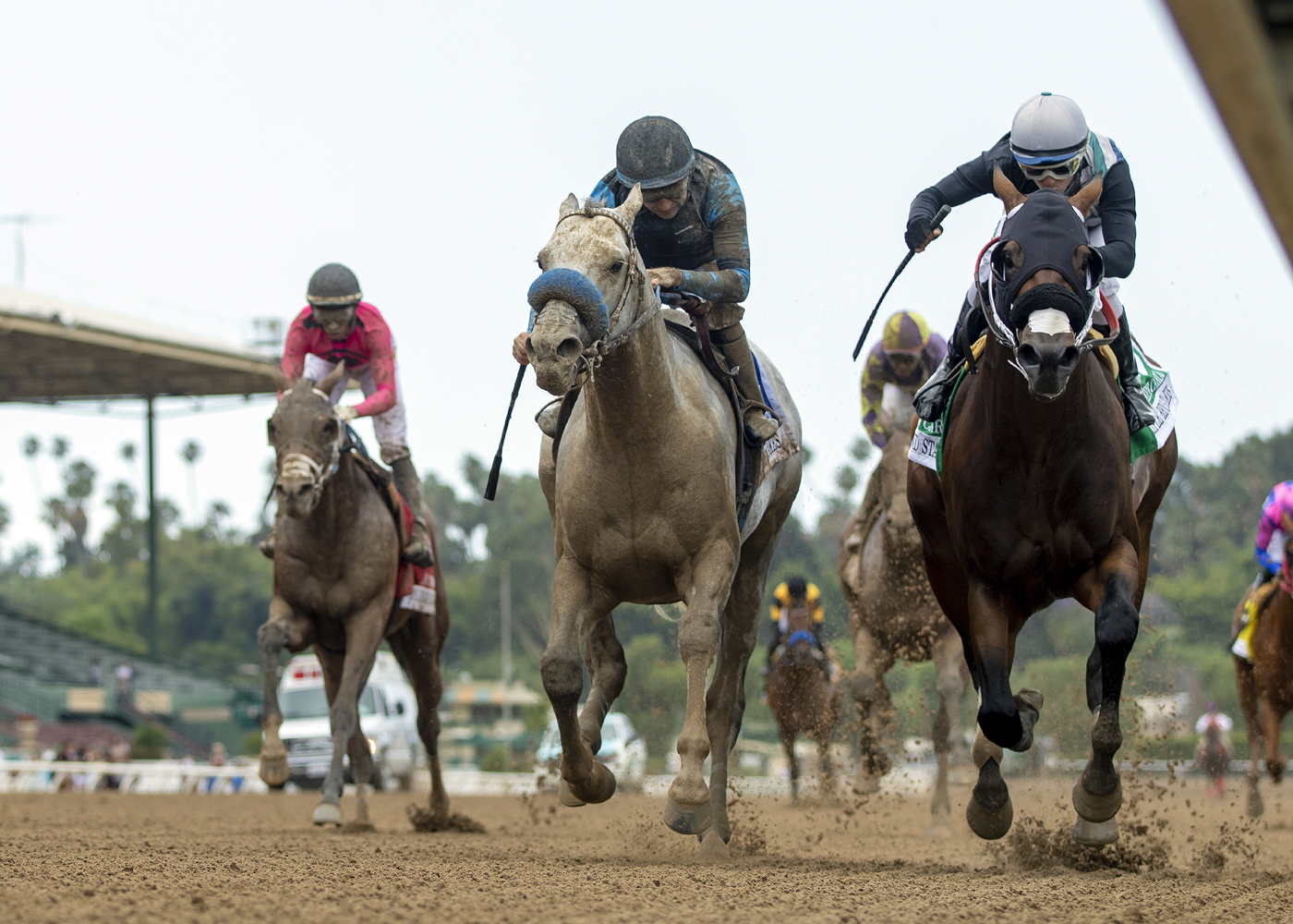 American Theorem (left) wins the Triple Bend over Principe Carlo on May 29 2022