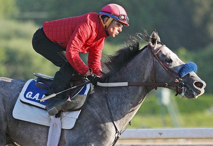 American Theorem trains at Santa Anita Park on Sept. 21