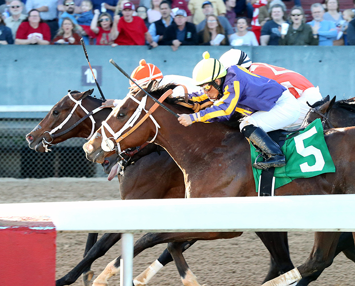 American Butterfly (No. 5) finishes second in a Feb. 2 allowance at Oaklawn
