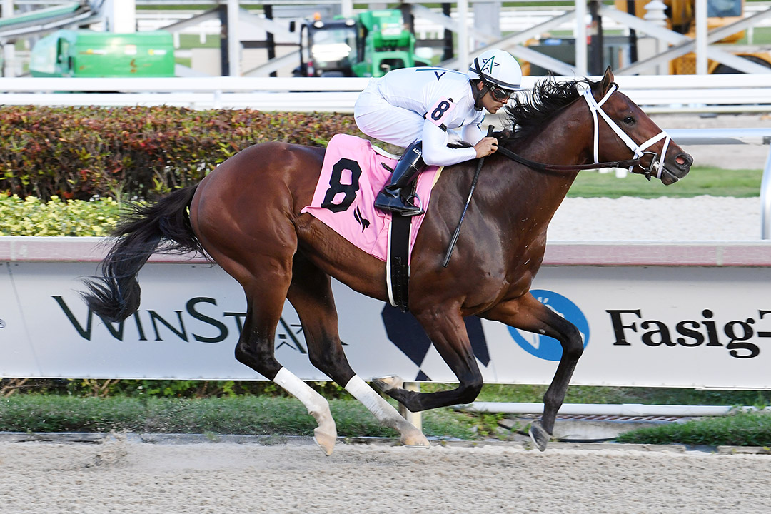 American Icon wins a Dec. 27 maiden race at Gulfstream