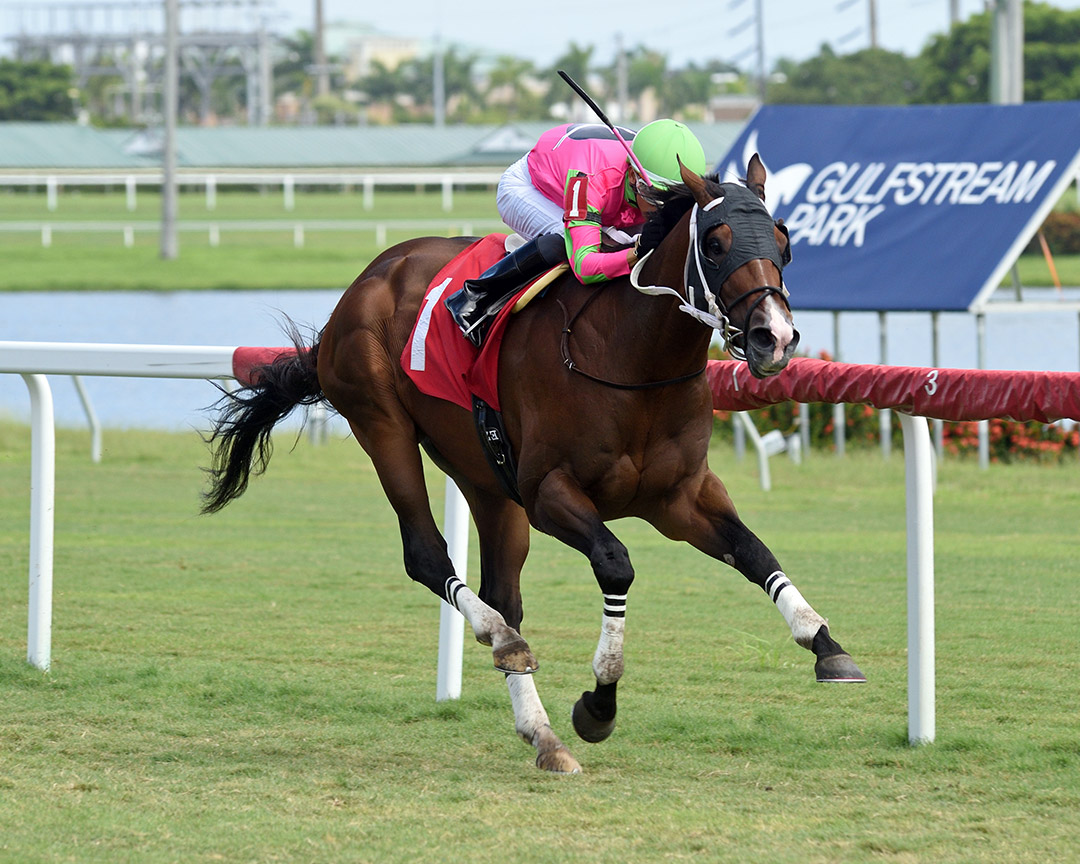 American Phenom wins a Sept. 7 maiden race at Gulfstream Park