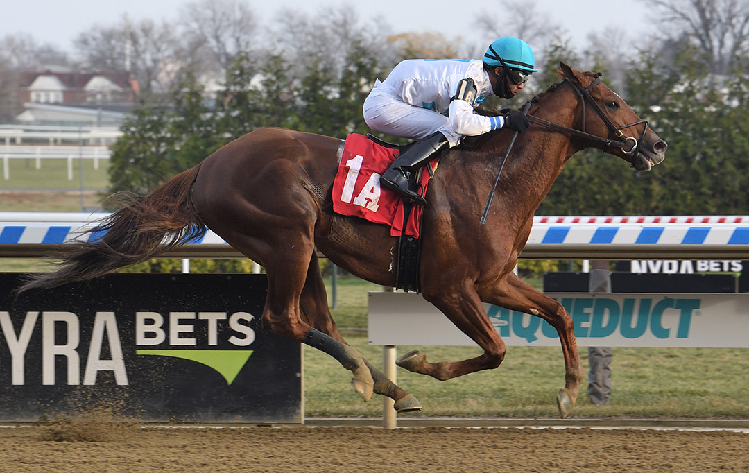 American Power wins a Dec. 11 optional claimer at Aqueduct