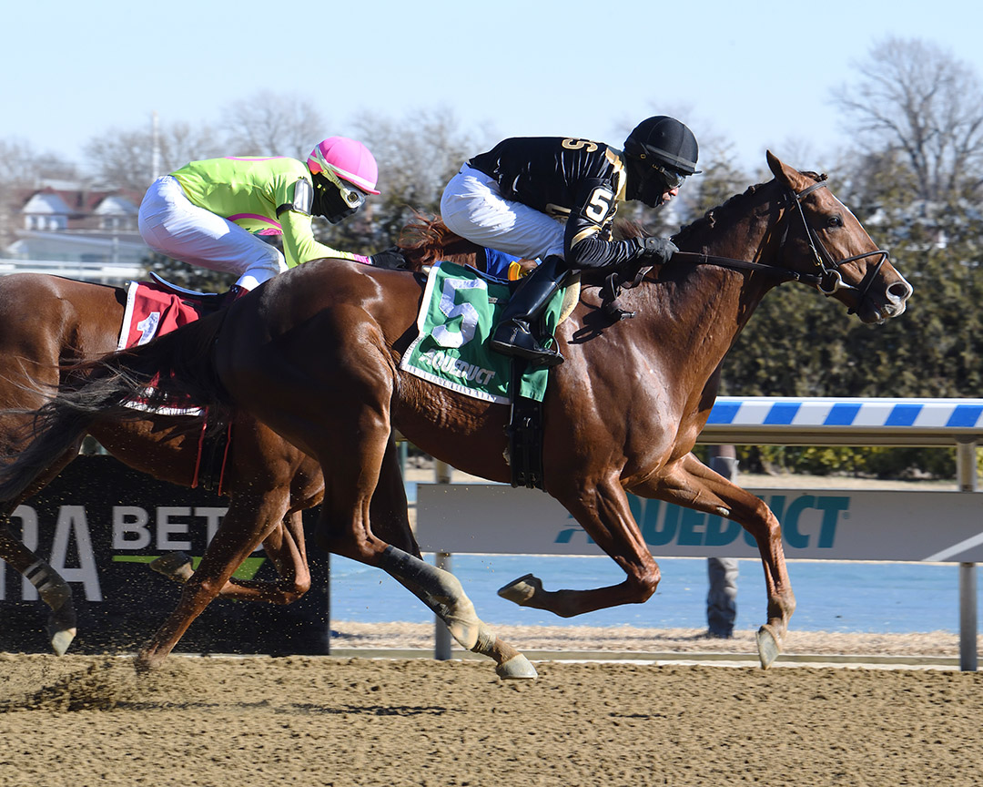American Power wins the 2021 Toboggan Stakes at Aqueduct