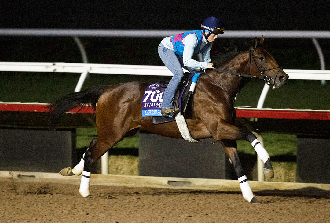 American Sanctuary trains at Del Mar on Nov. 1