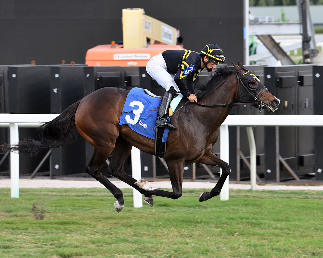 American Starlet wins a Jan. 7 maiden at Gulfstream Park