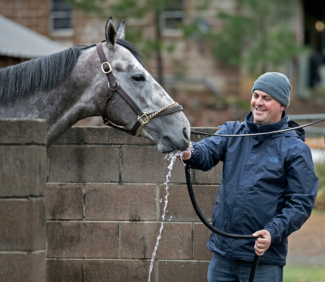 American Theorem and George Papaprodromou at Oaklawn Park in 2020