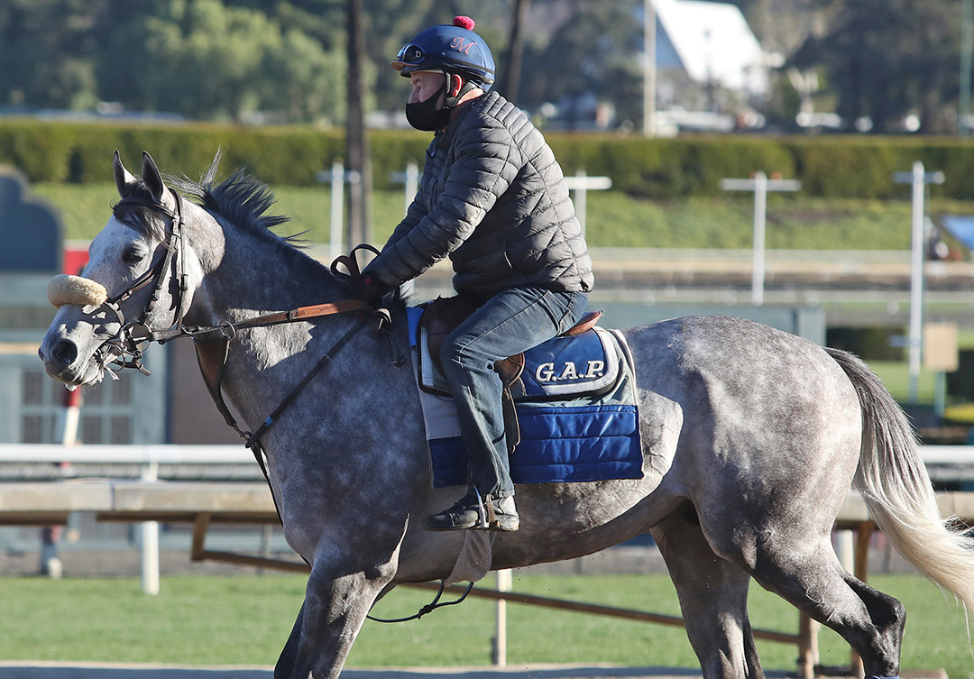 American Theorem at Santa Anita Park on Jan. 30