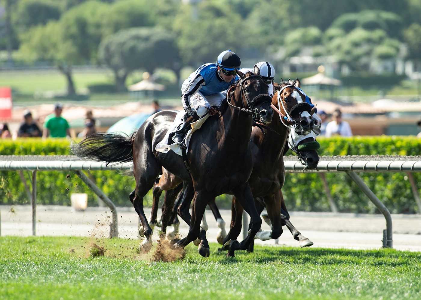 Restrainedvengence wins American Stakes 6-20-21