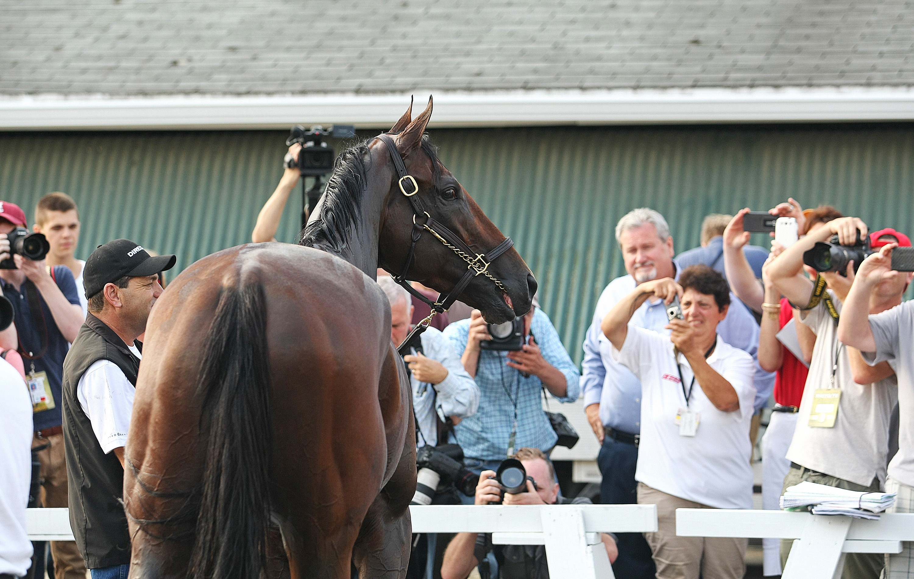 Fans take photos of American Pharoah at Monmouth Park