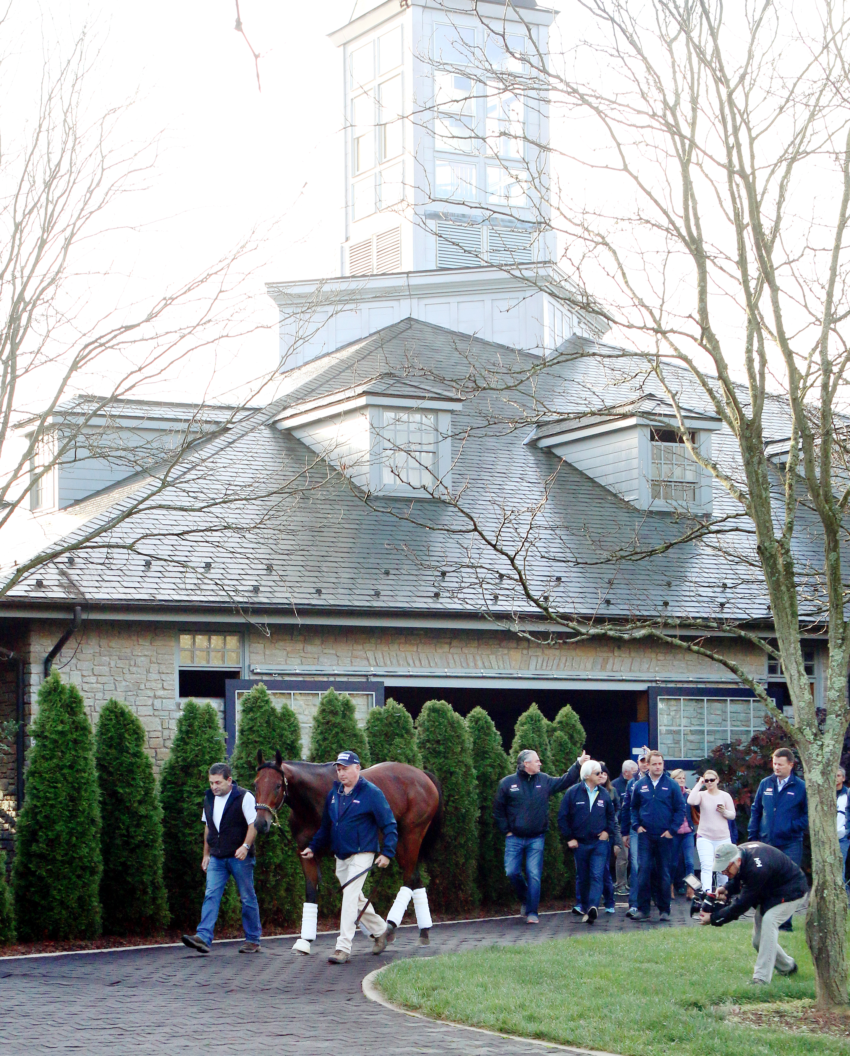 American Pharoah arrives at Ashford