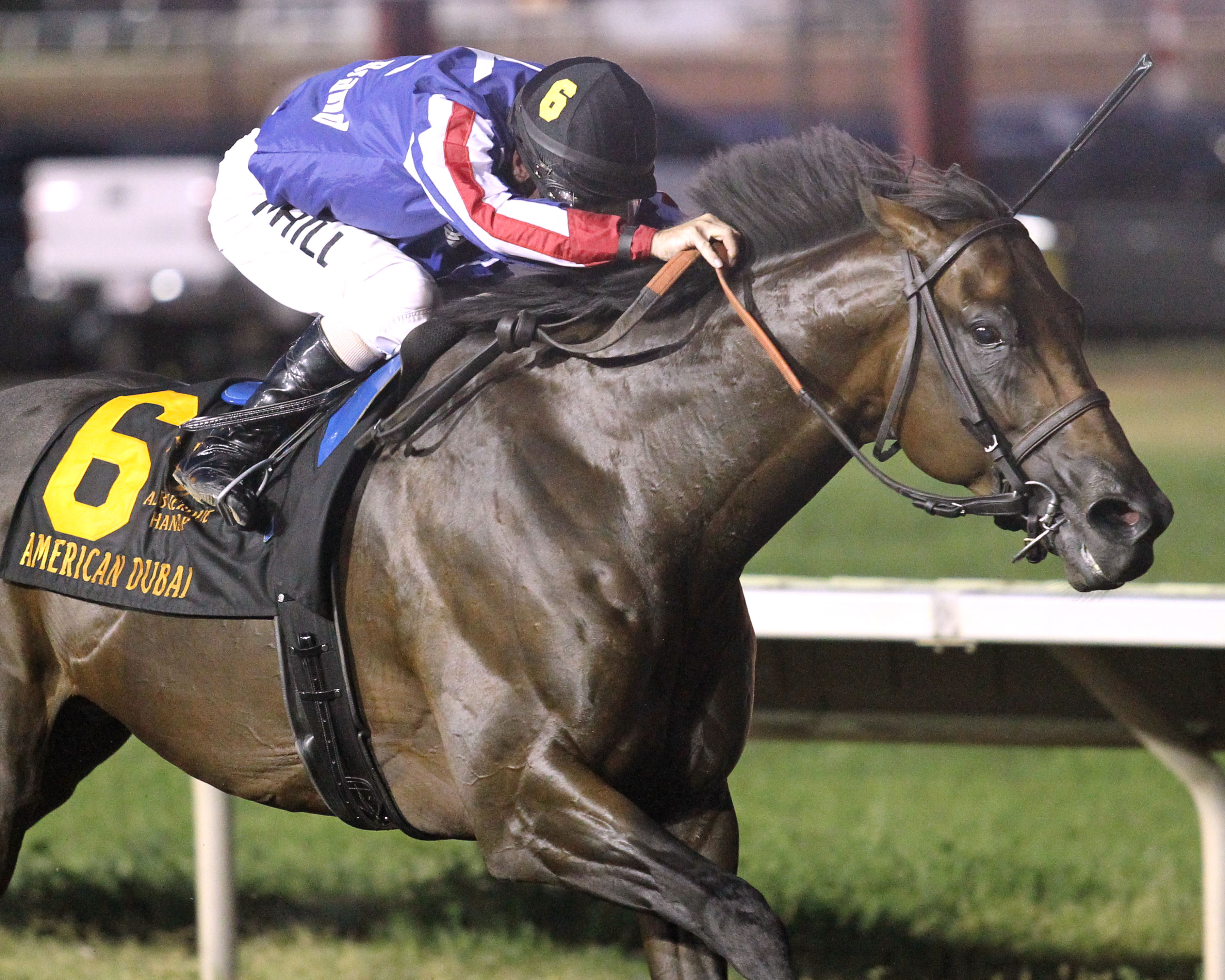 American Dubai wins The Downs at Albuquerque Handicap_8.5.17_CO