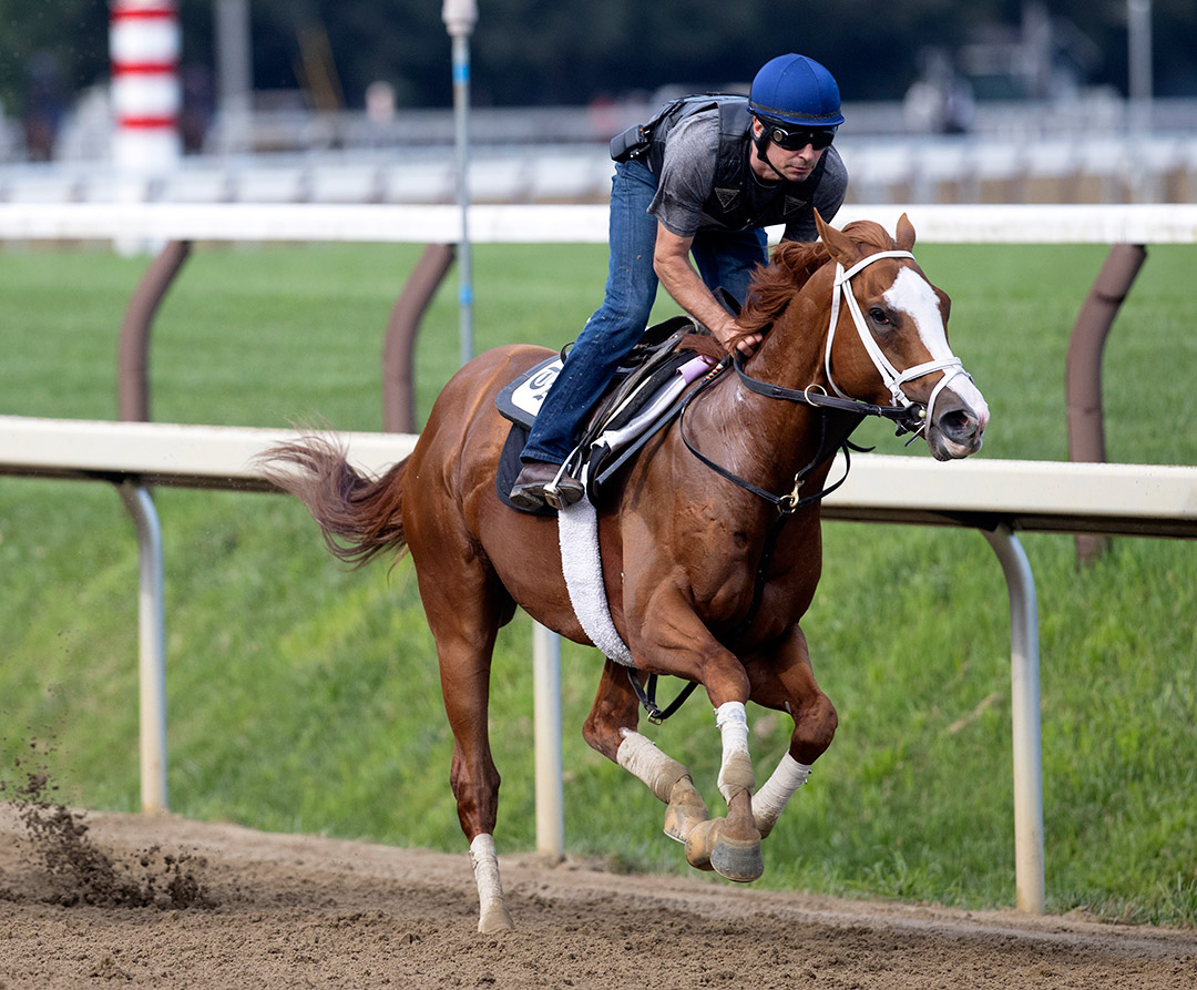 Americanrevolution trains at Saratoga Race Course on Aug. 5