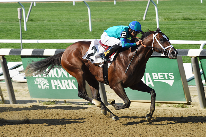 Americanus wins a Sept. 28 maiden race at Belmont Park