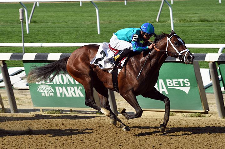 Americanus wins a Sept. 28 maiden race at Belmont Park