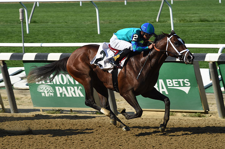 Americanus wins a Sept. 28 maiden race at Belmont Park