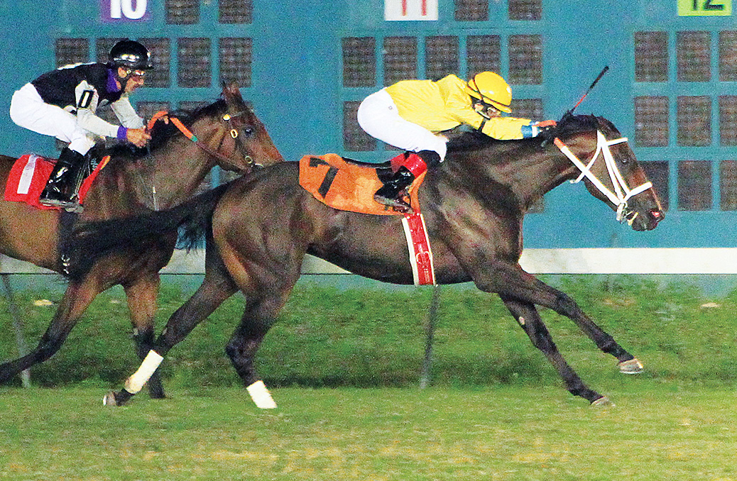 Americium wins the 2016 La Senorita Stakes