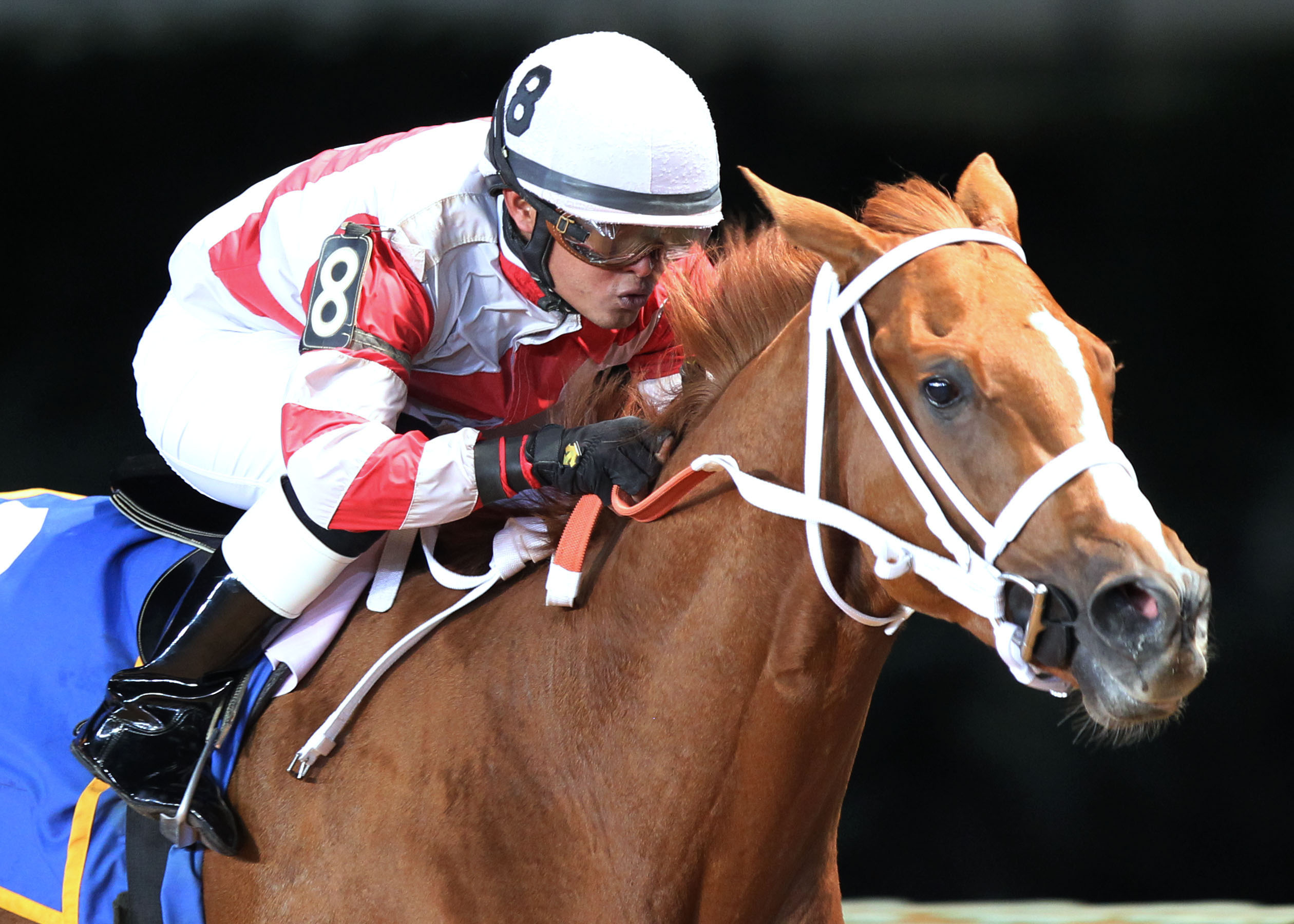 Amherst Steet wins the Vincent Moscarelli Memorial Breeders Classic