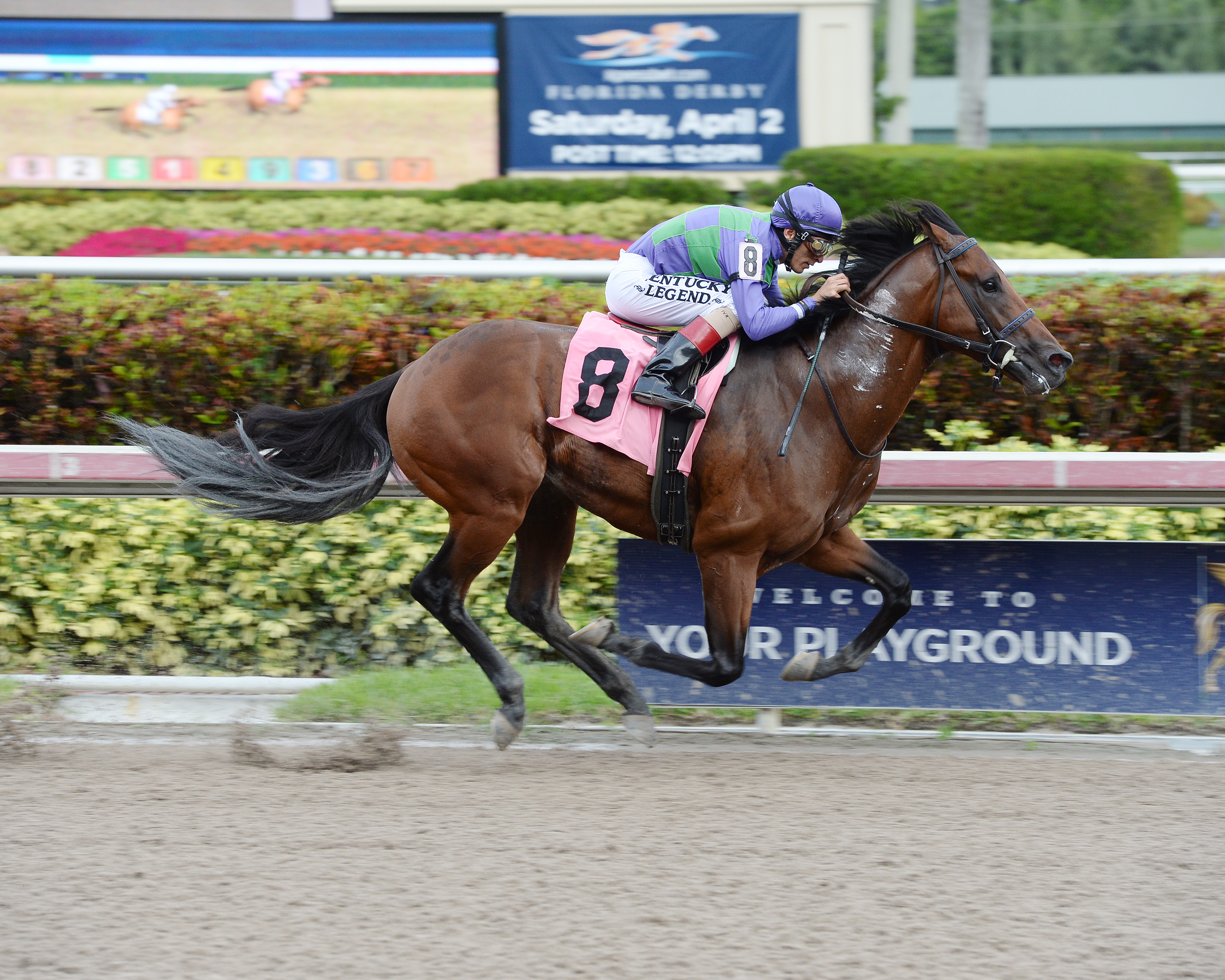 Ami's Flatter wins an allowance race