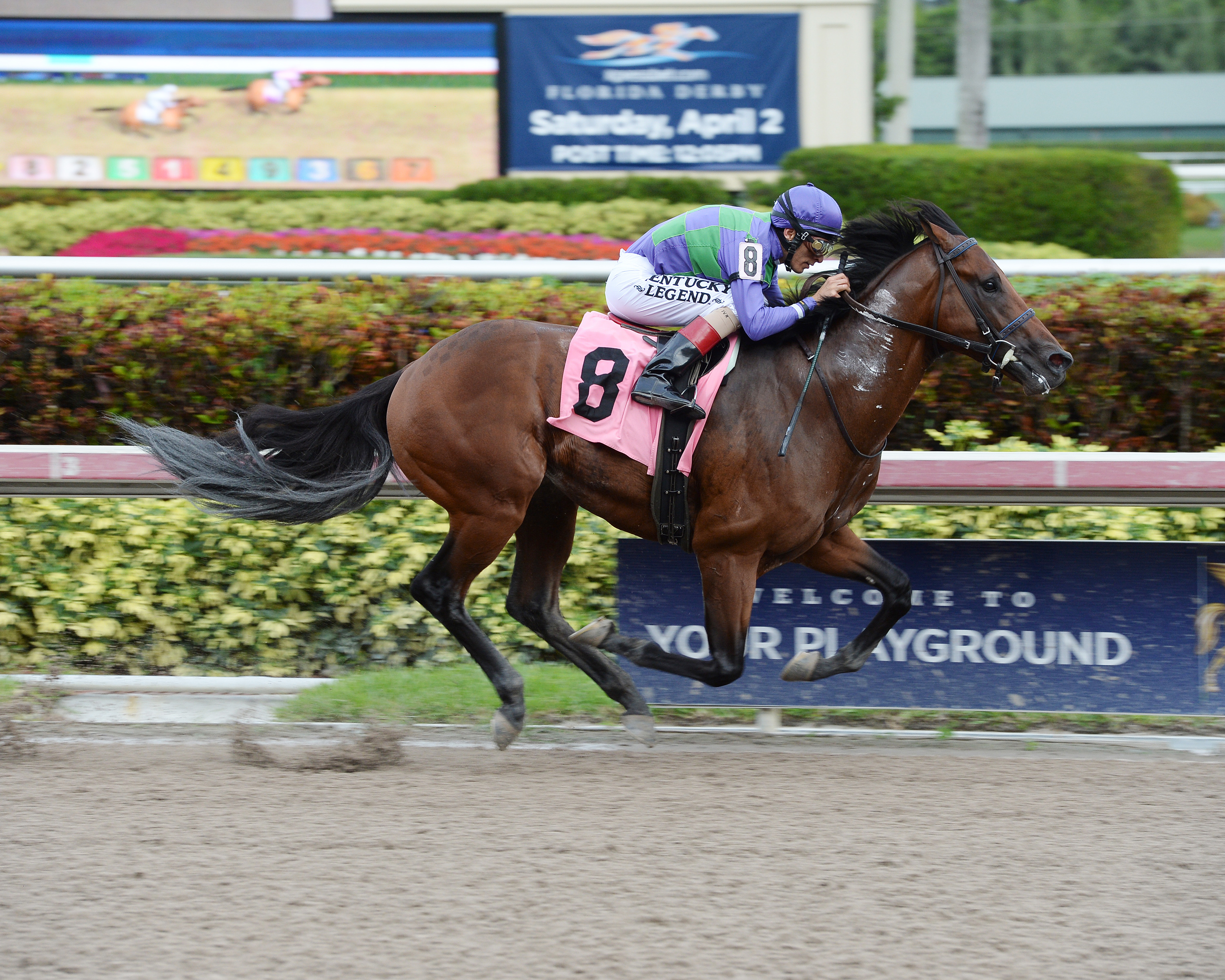 Ami's Flatter wins an allowance race