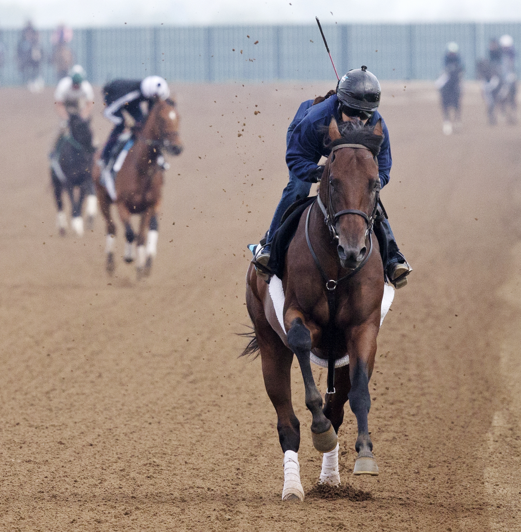 Ami's Flatter training at Keeneland