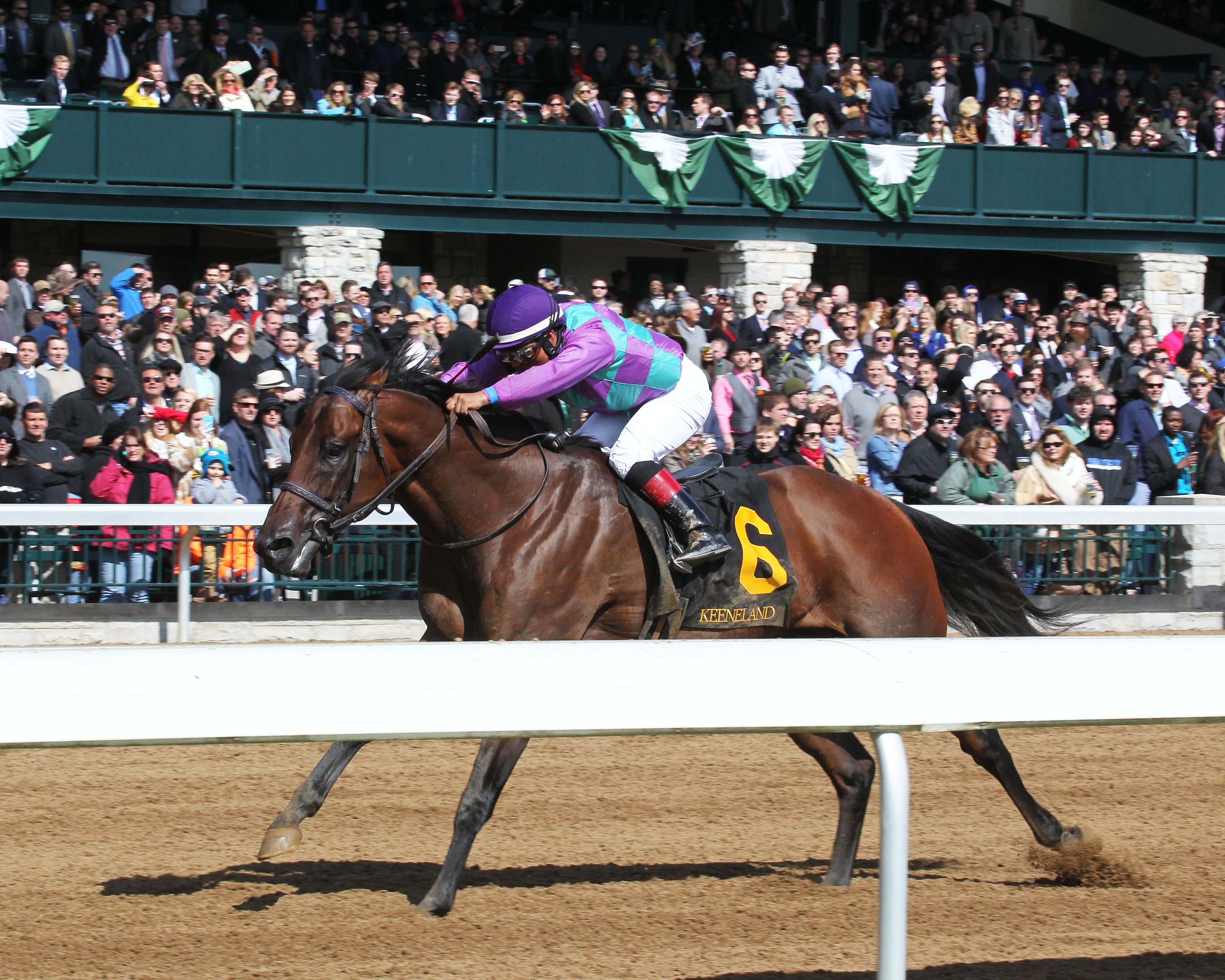 Ami's Flatter wins the Commonwealth