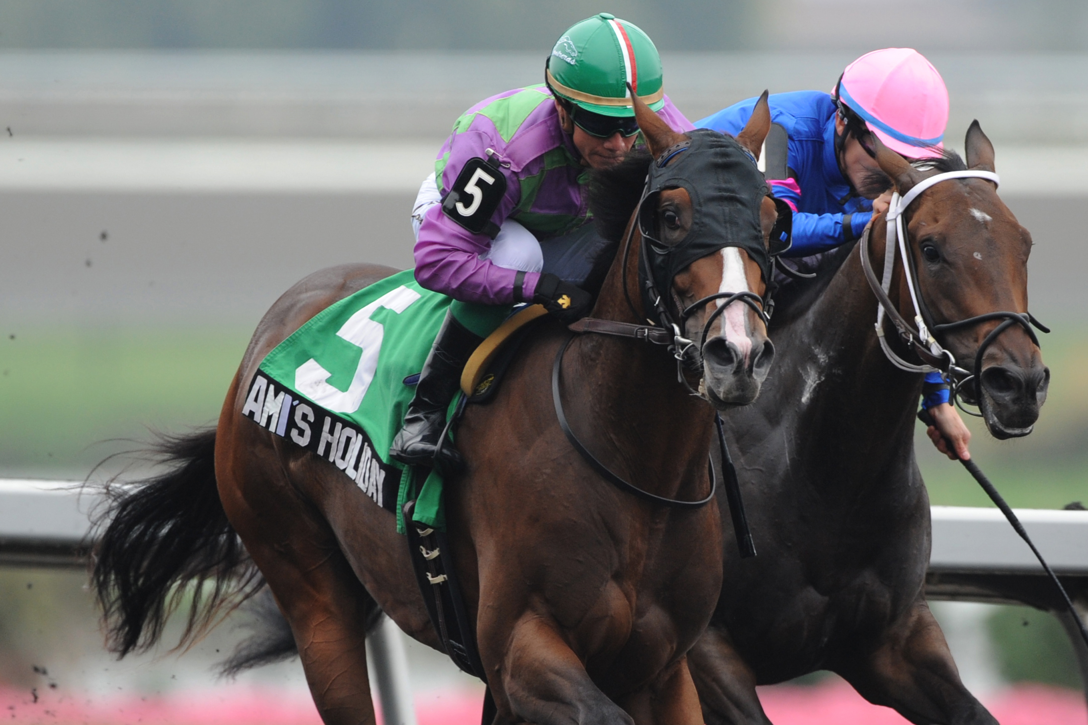 Ami's Holiday wins the Grey Stakes