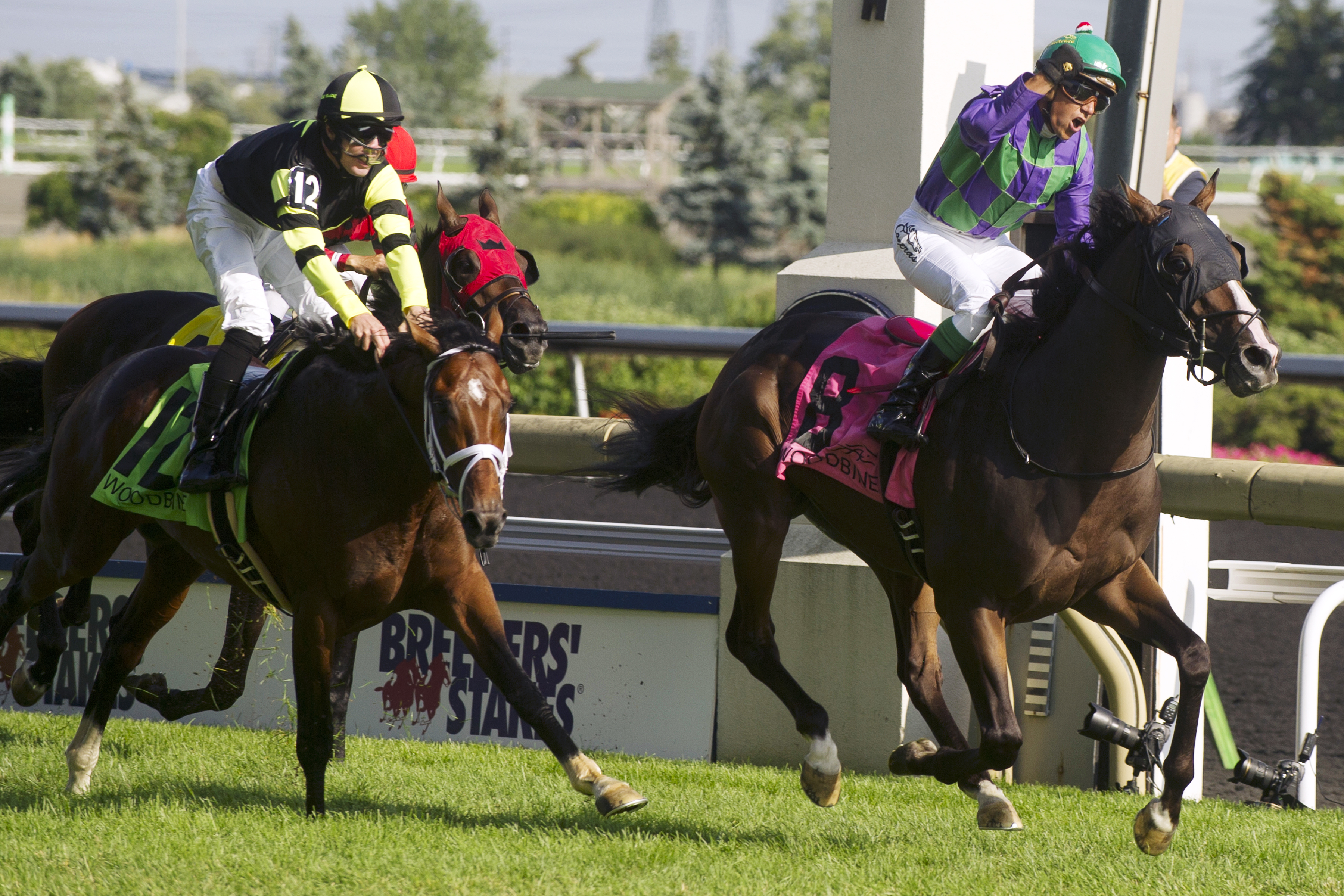 Interpol finishes second in the 2014 Breeders Stakes